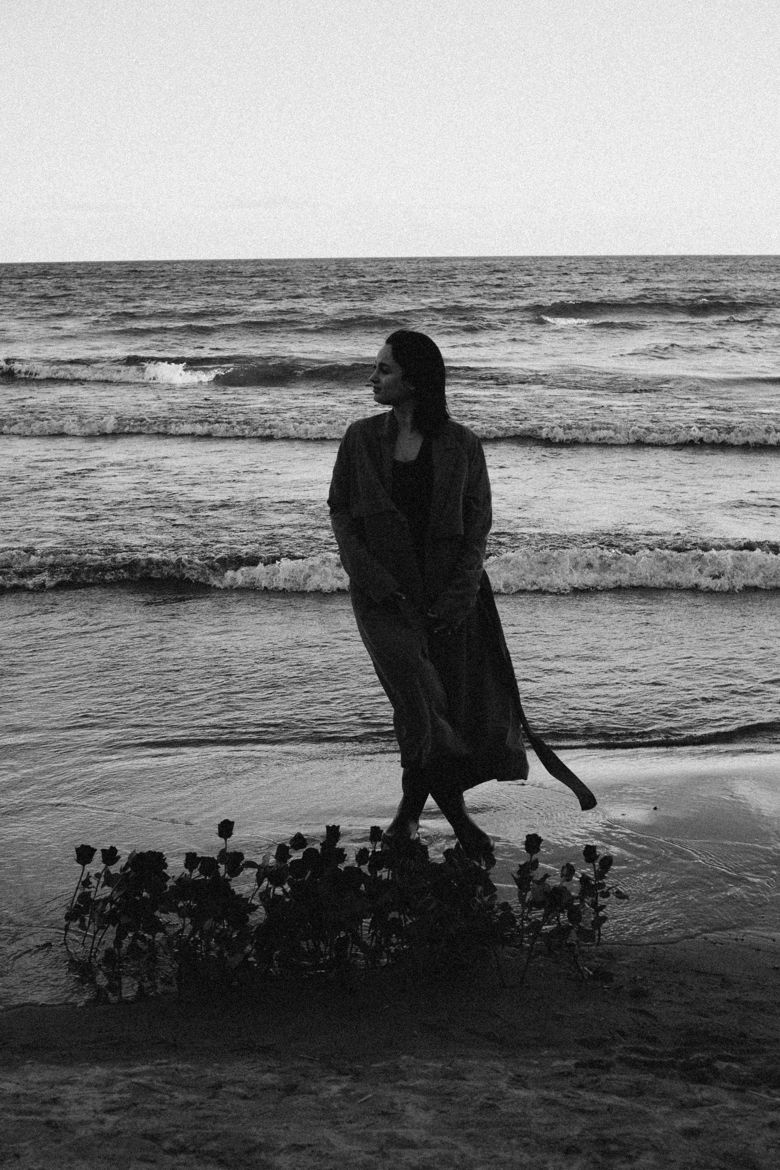 Розы. Профессиональный фотограф, Санкт-Петербург — Виктория Богомолова