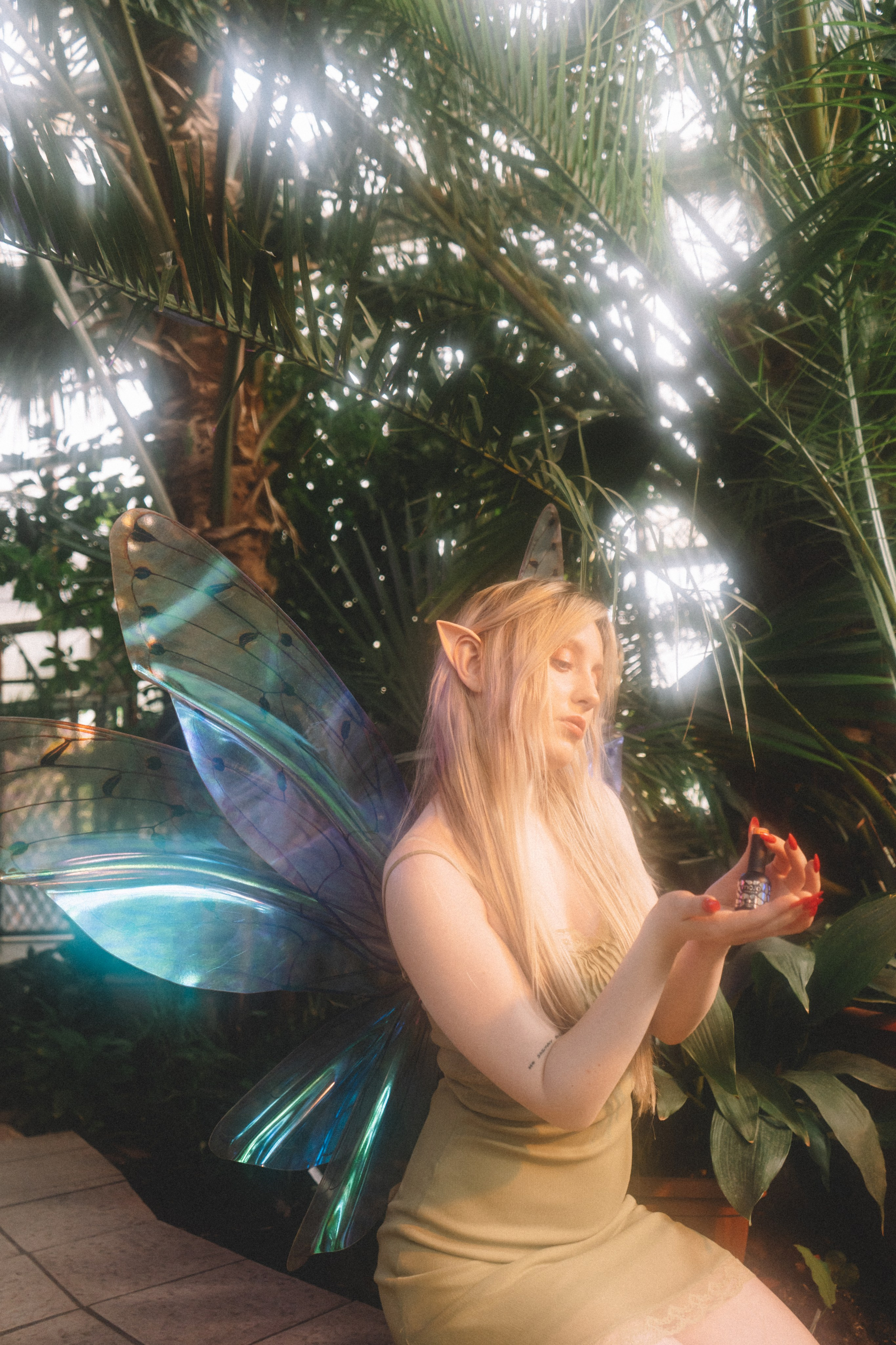 Тайный лес. Анастасия Попова — Fashion photographer