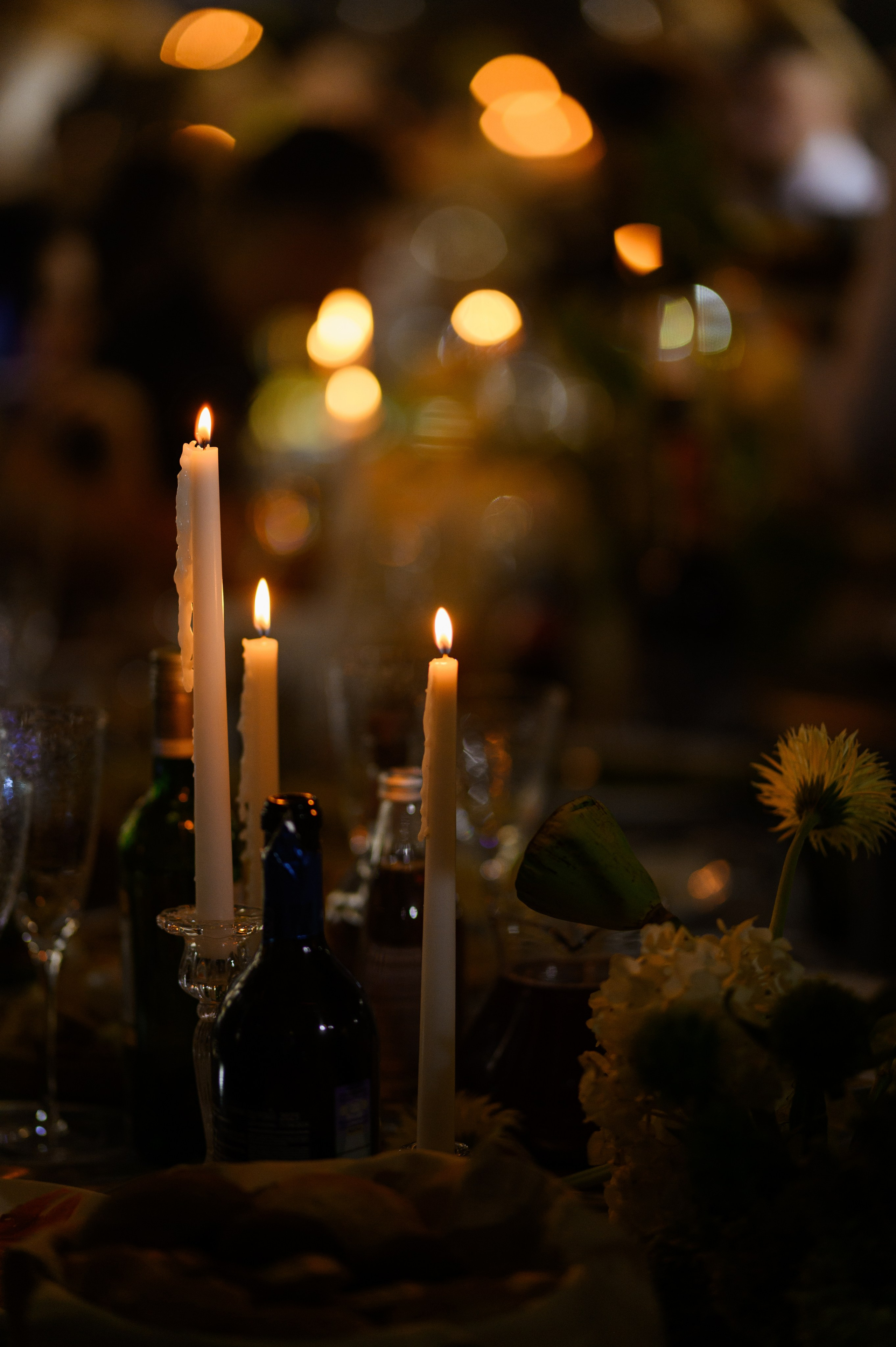 Никита и Ксения. Свадебный фотограф и видеограф