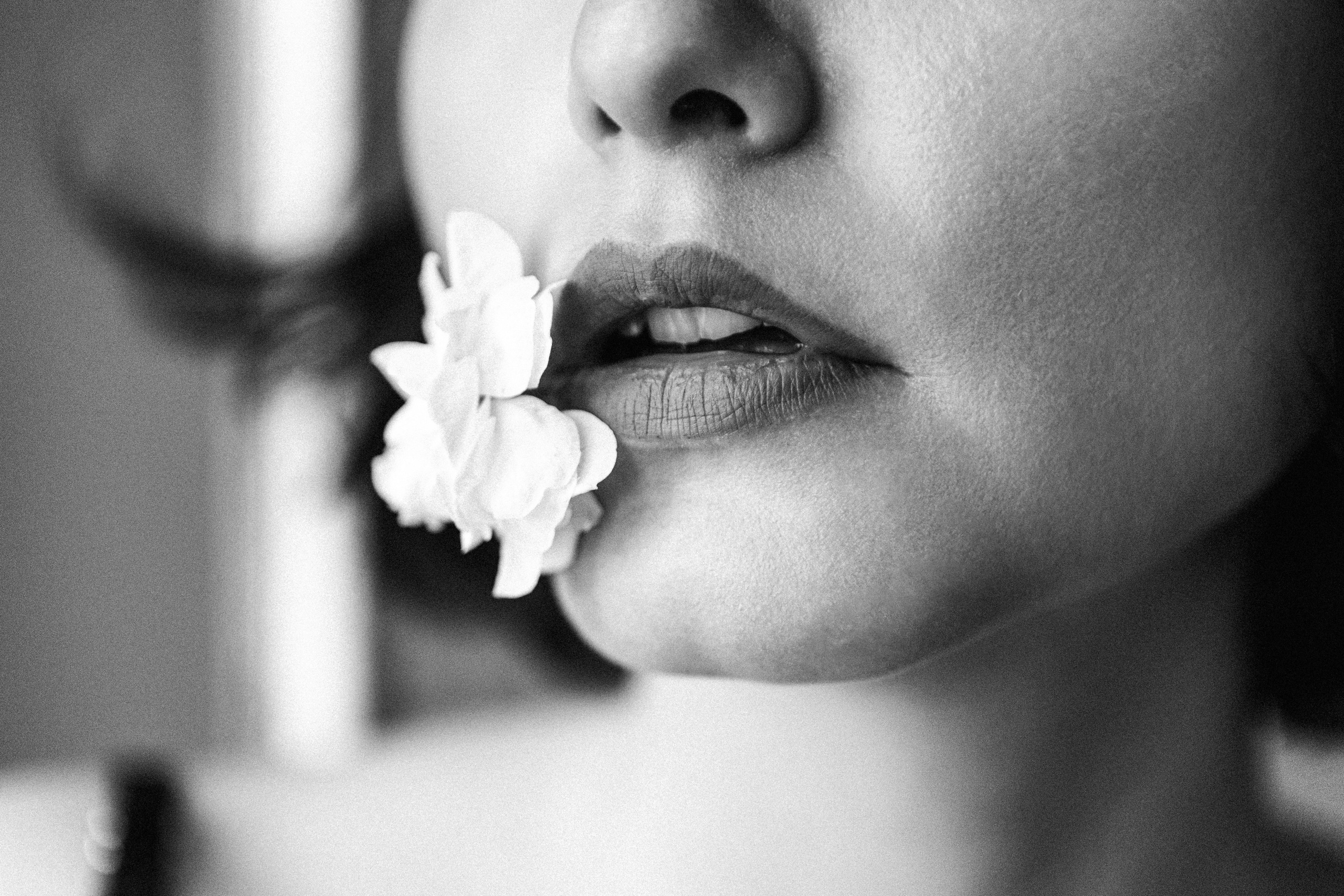 Лиза. Главная