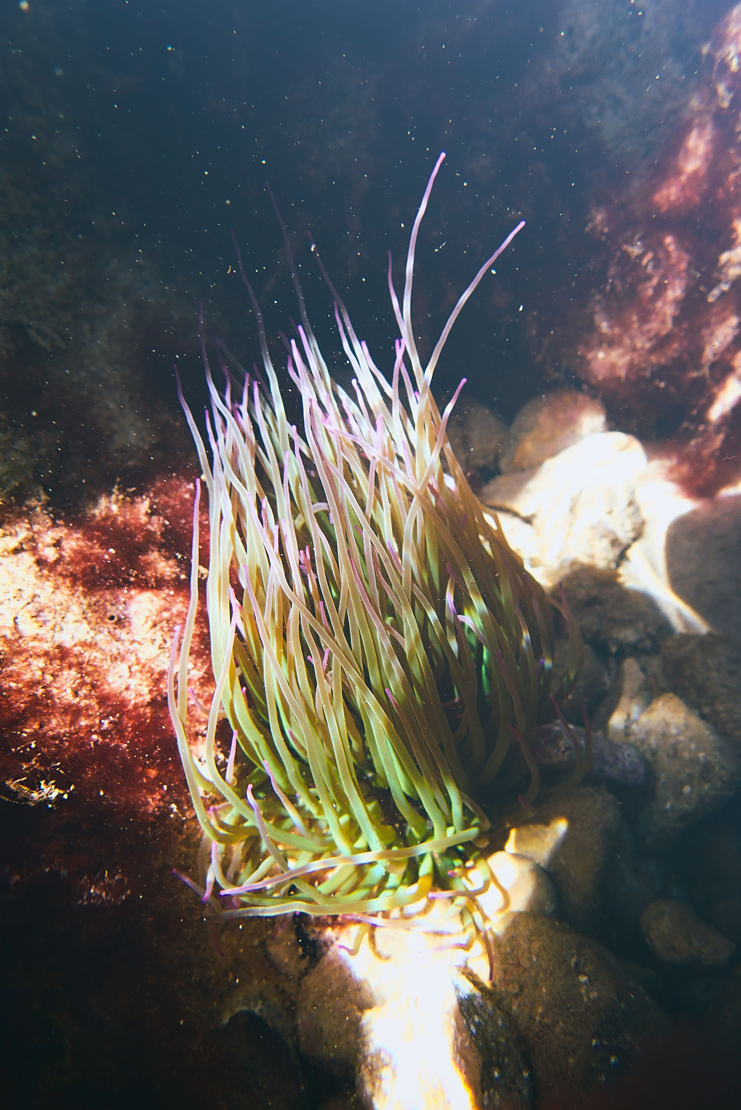 Испания. Свадебный фотограф Копков Геннадий