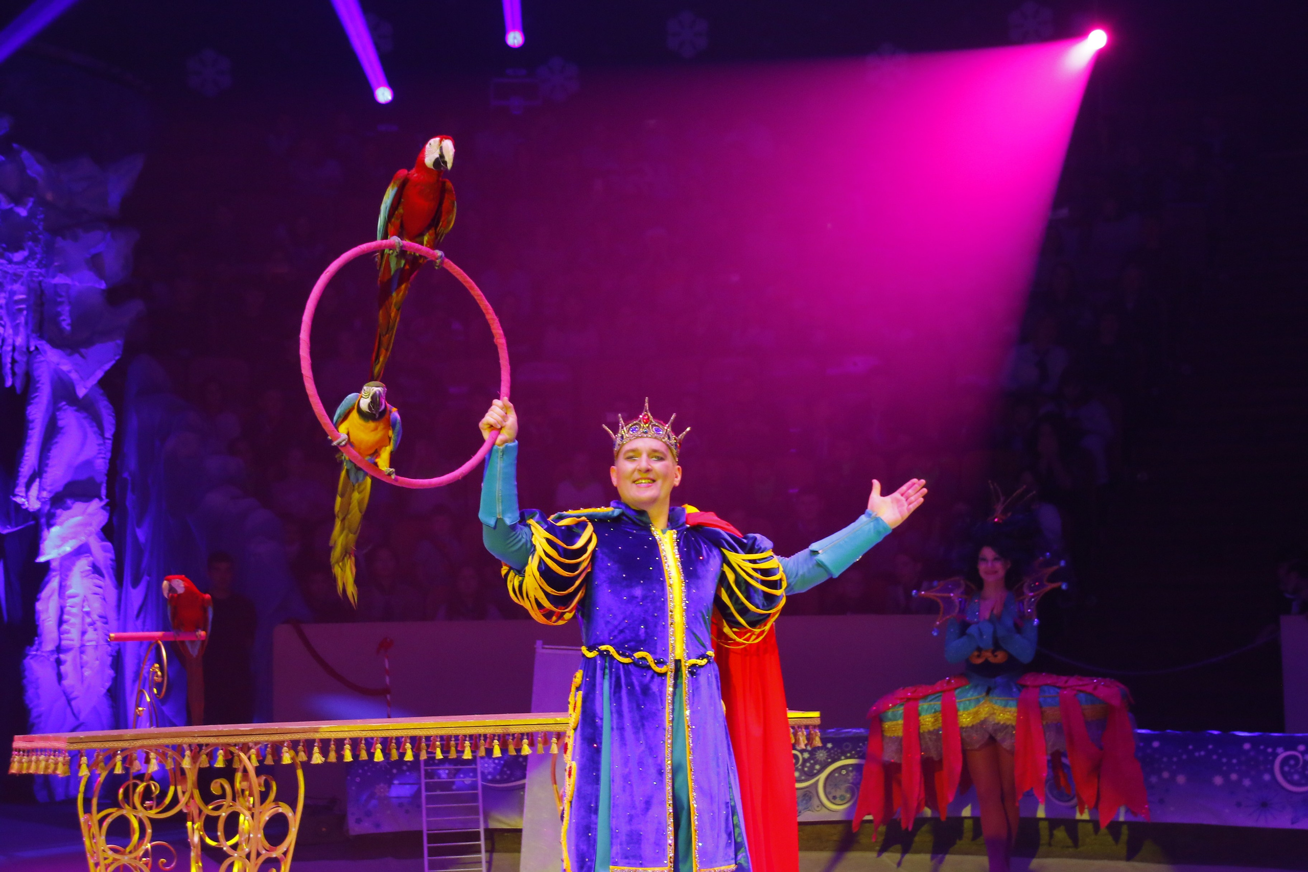 Концерты, спектакли. Репортажный фотограф Анастасия Богданова из Тюмени