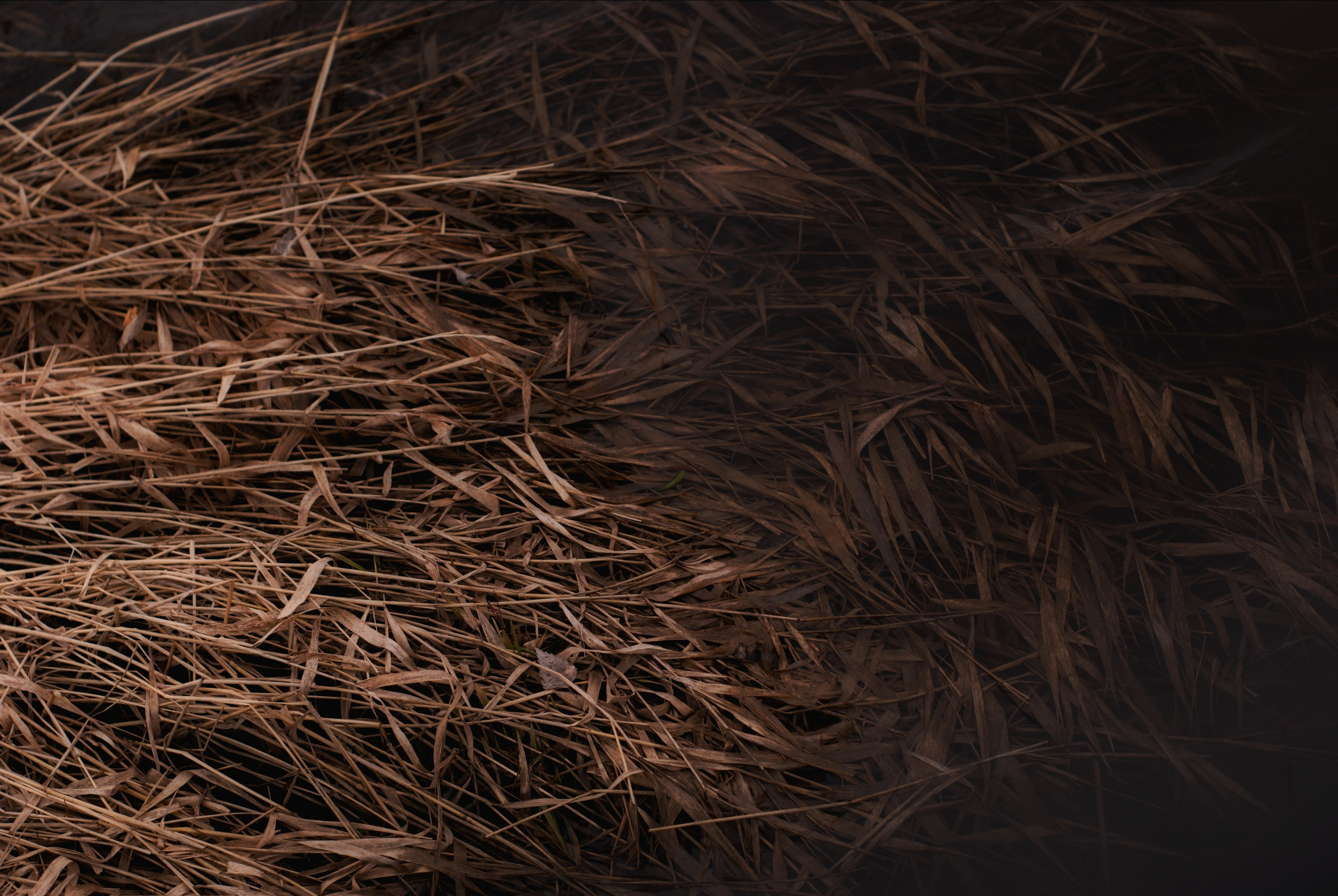 Этот прекрасный мир