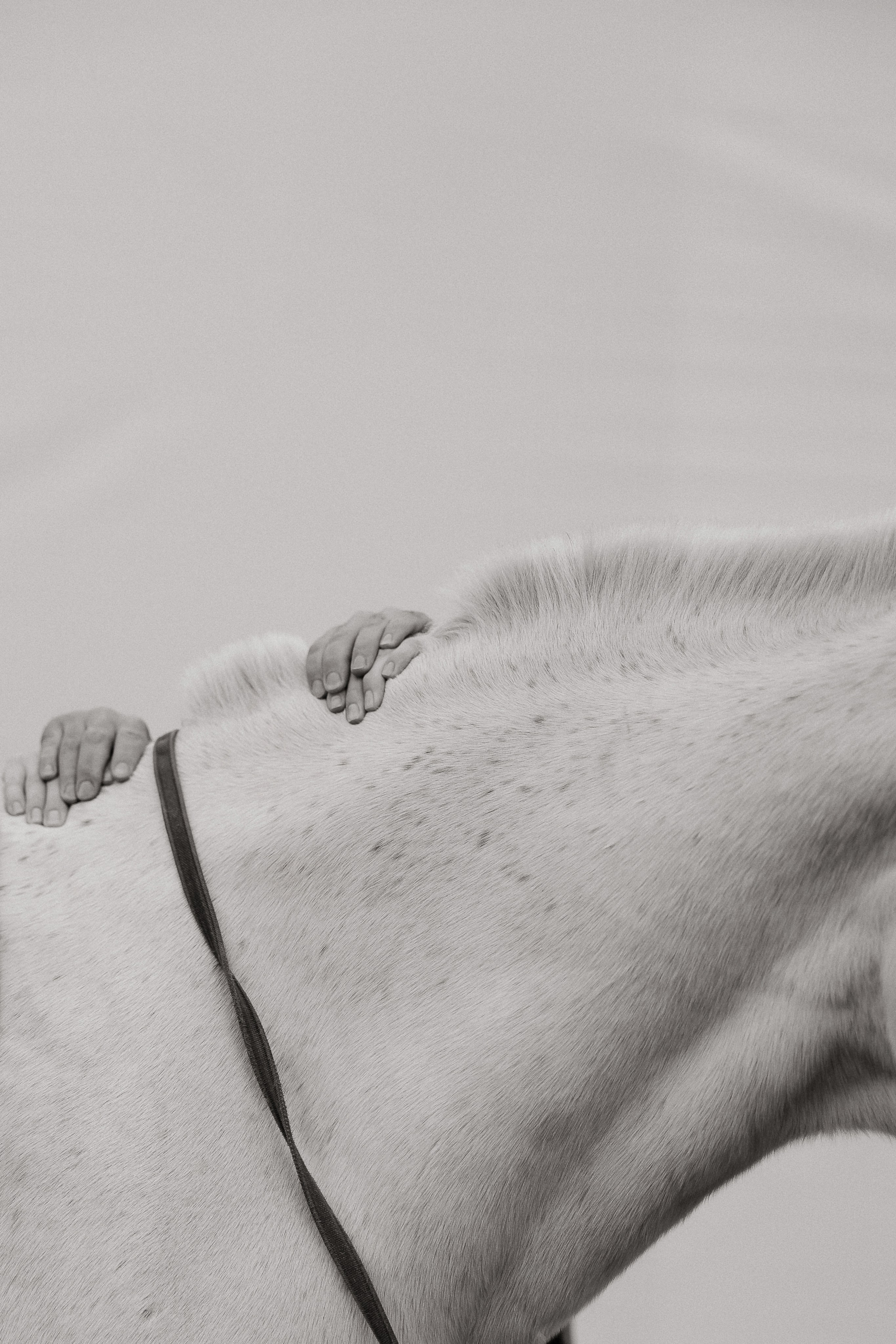 Александр и Кристина. Свадебный | Семейный фотограф