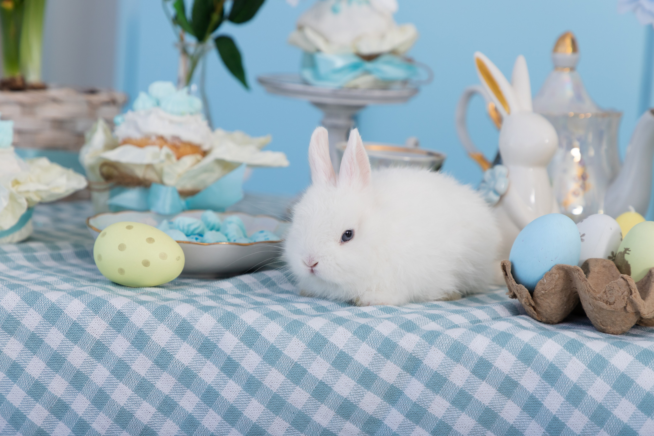 Свадебный фотограф в Сочи Наири