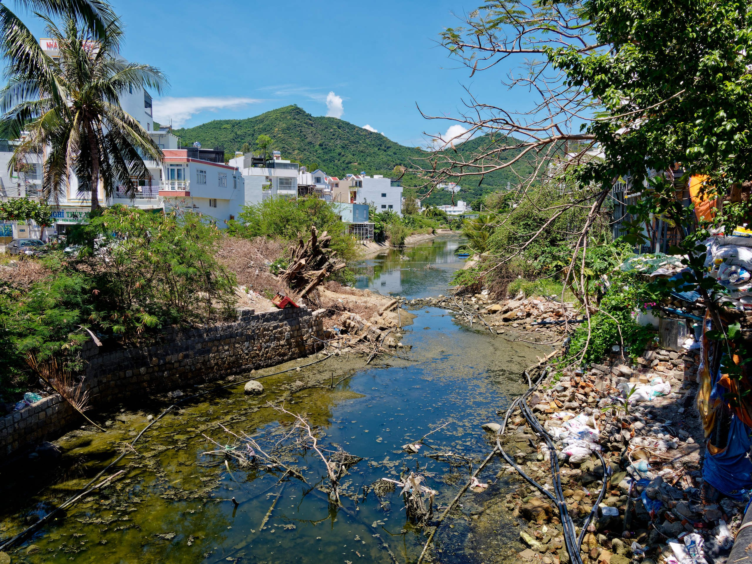 Нячанг 2025 (3). Избранные фотографии