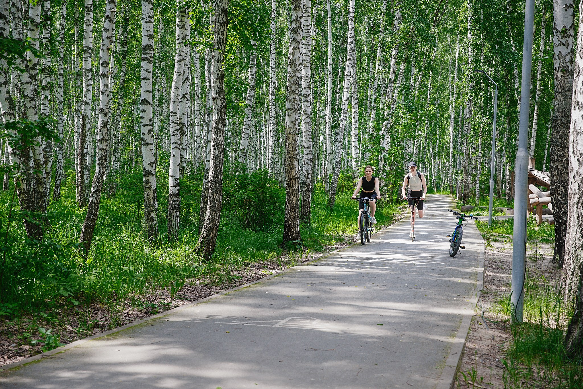 Культурно-массовые мероприятия. Серия 54