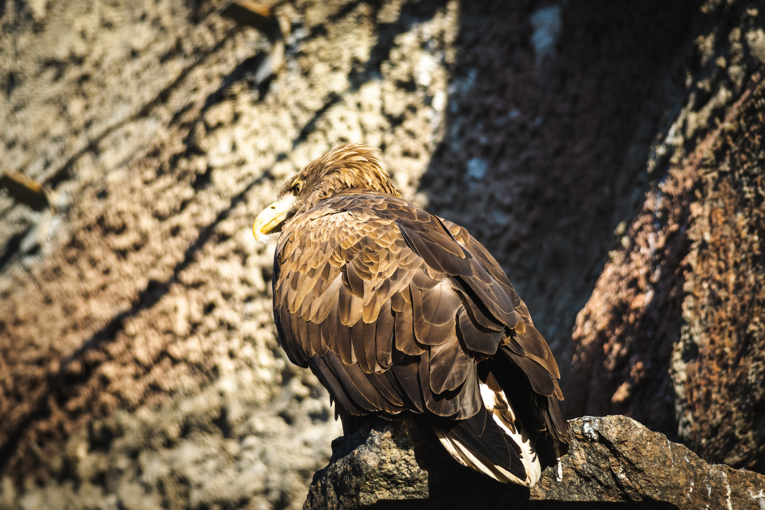 Московский зоопарк