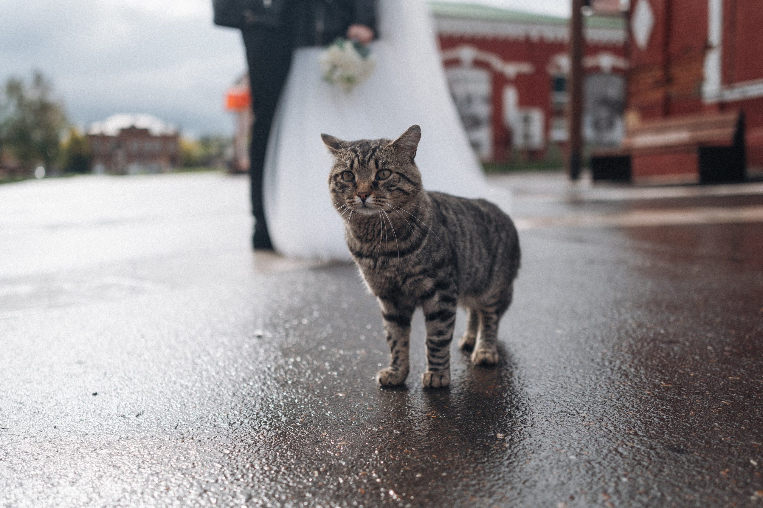 Наталья и Максим. Фотограф Белебей Абзалетдинов Артур
