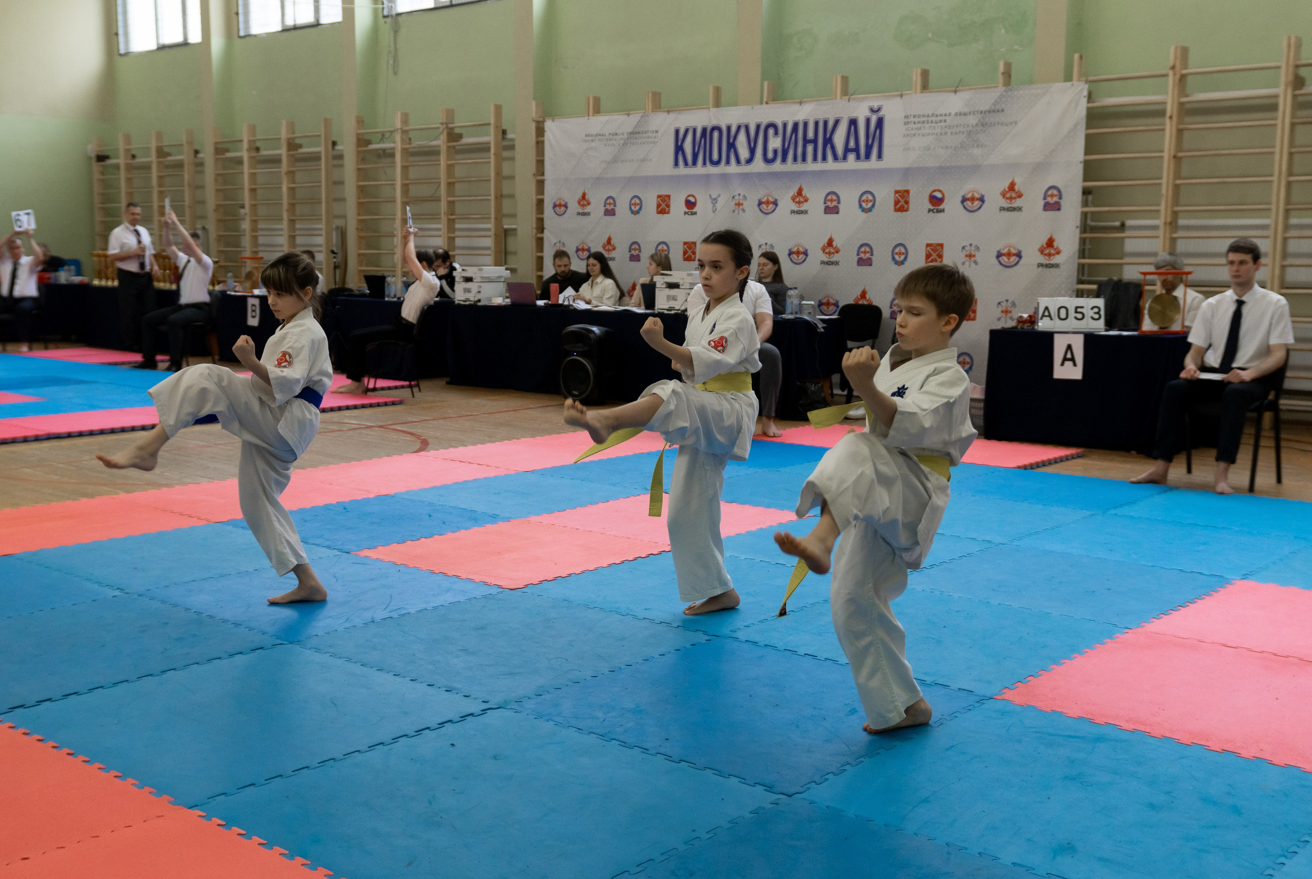 Соревнования по каратэ Красногвардейский рубеж Санкт-Петербург. Репортажный, street и urban фотограф в Санкт-Петербурге Мальцев Евгений