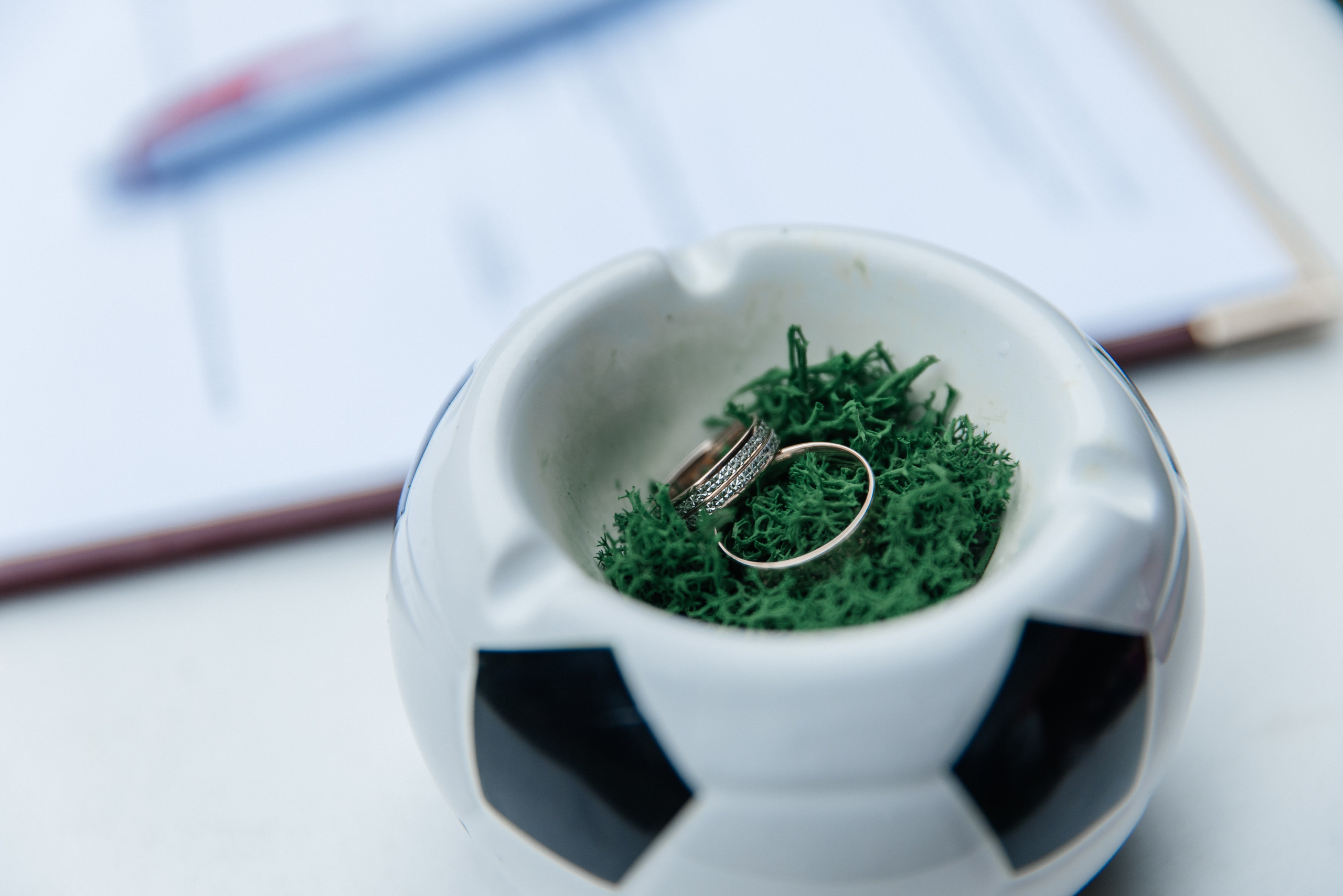 Евгения и Владимир| Библиотека им. Пушкина| Лукойл Арена. Фотограф Москва Шептаев Артём