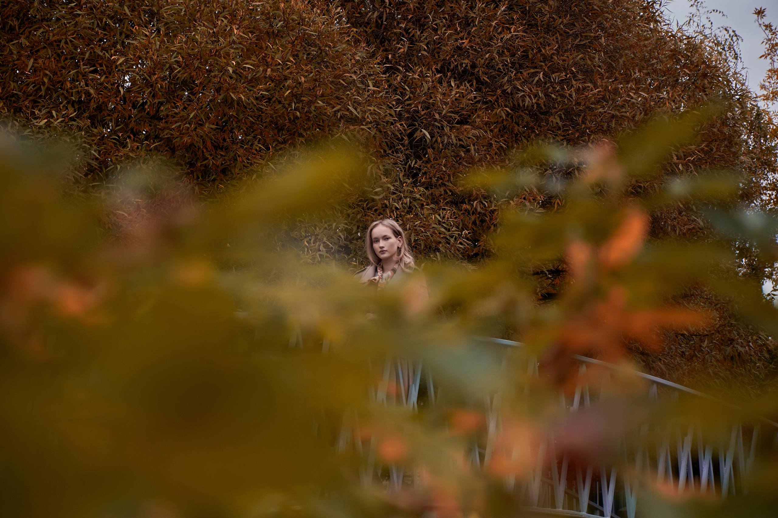 Осенняя история. Сергей Ильин | Фотограф