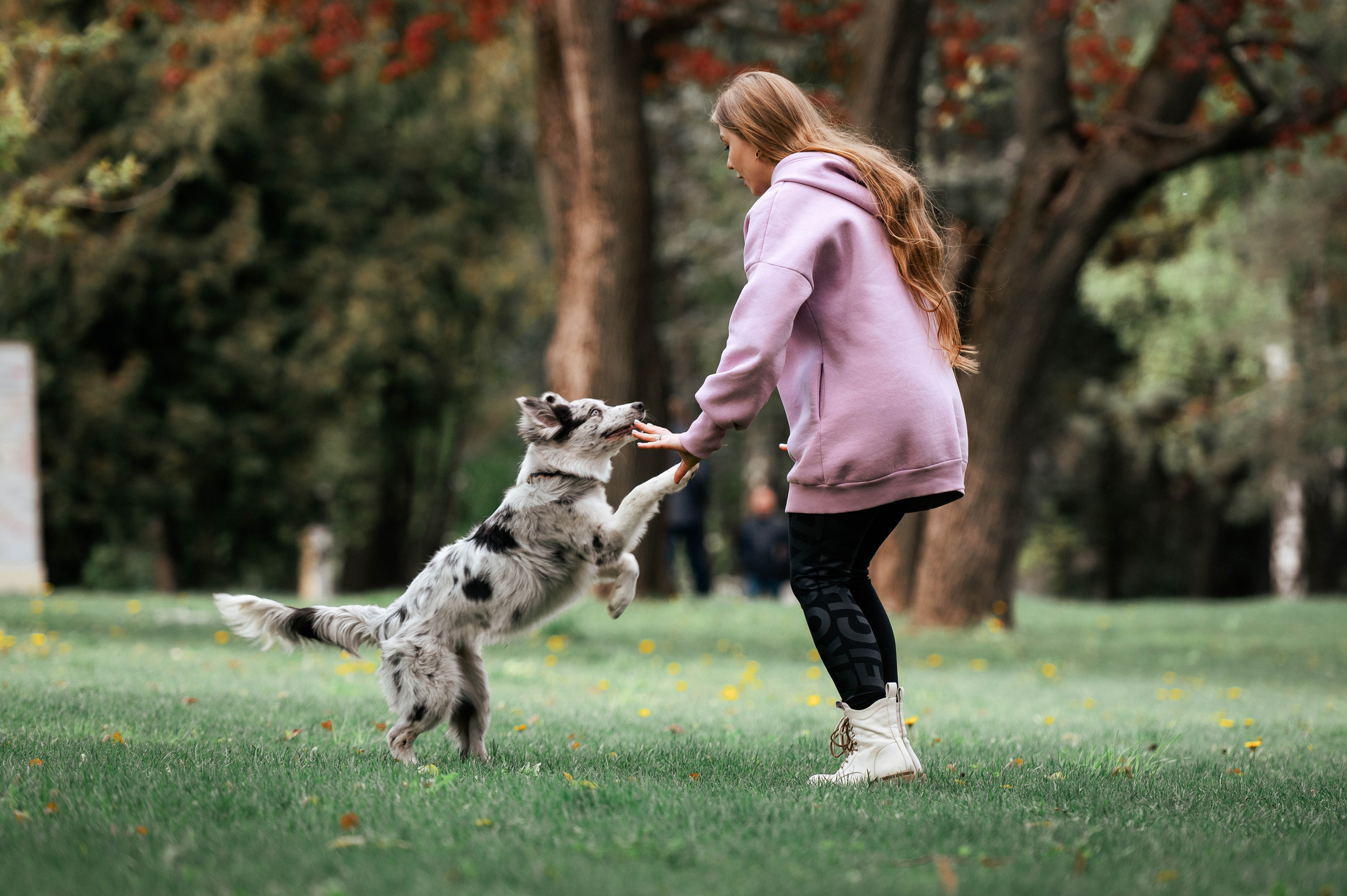 Весна на ВДНХ. Фотограф-анималист