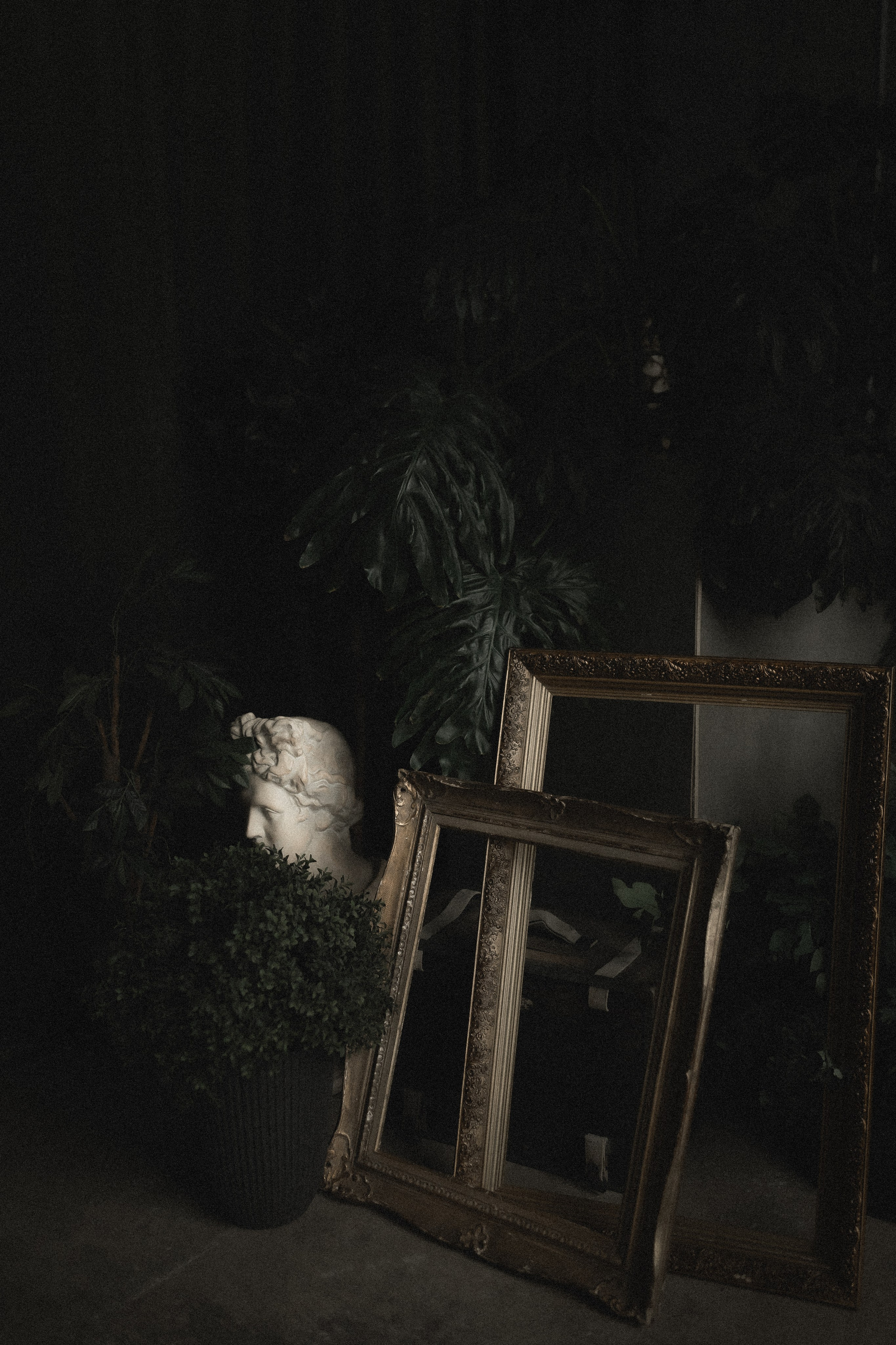 «Оранжерейные грёзы». Твой проводник в мир ушедших эпох, романтики и женственности