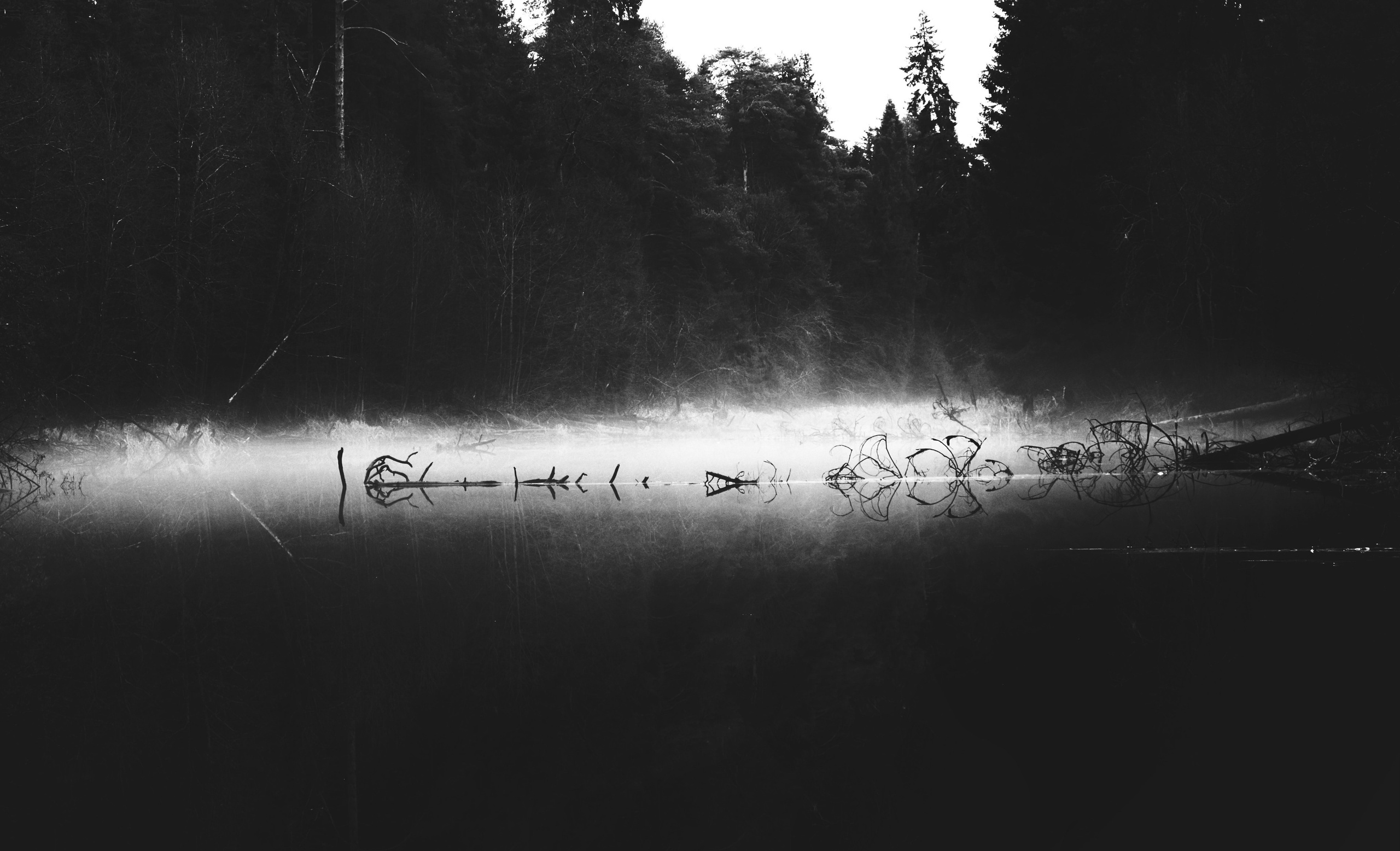 ЧБ. Фотограф-любитель из Кирова Андрей Погребняк