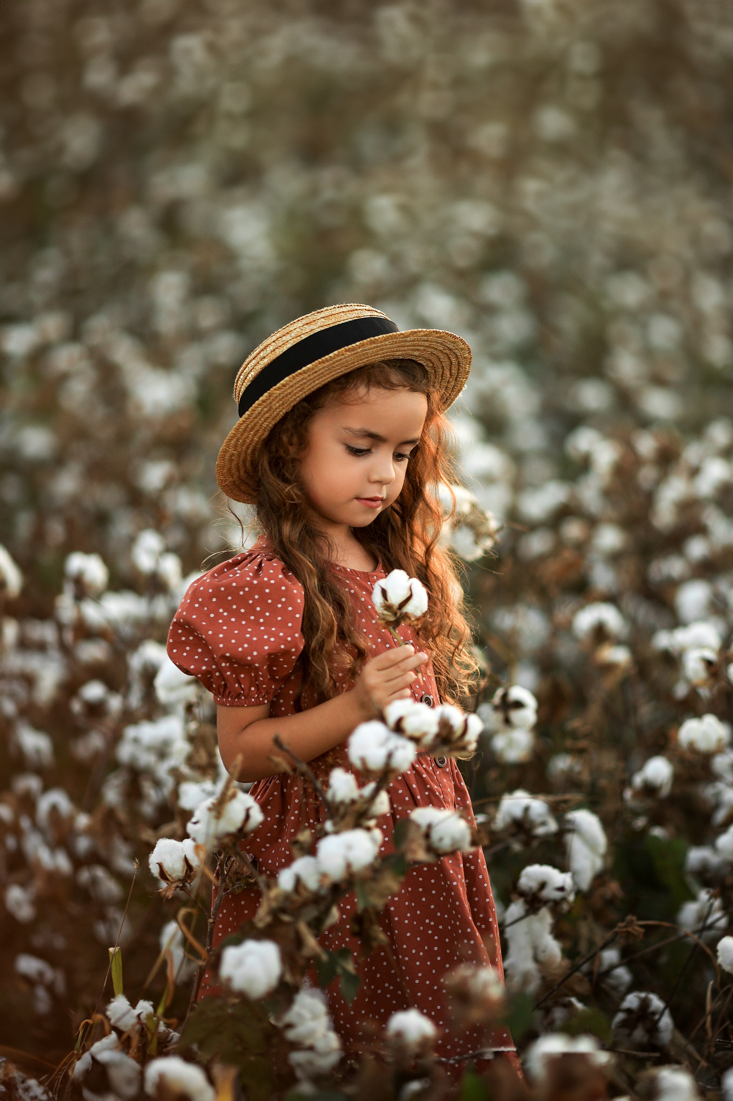 Photoshooting on cotton field