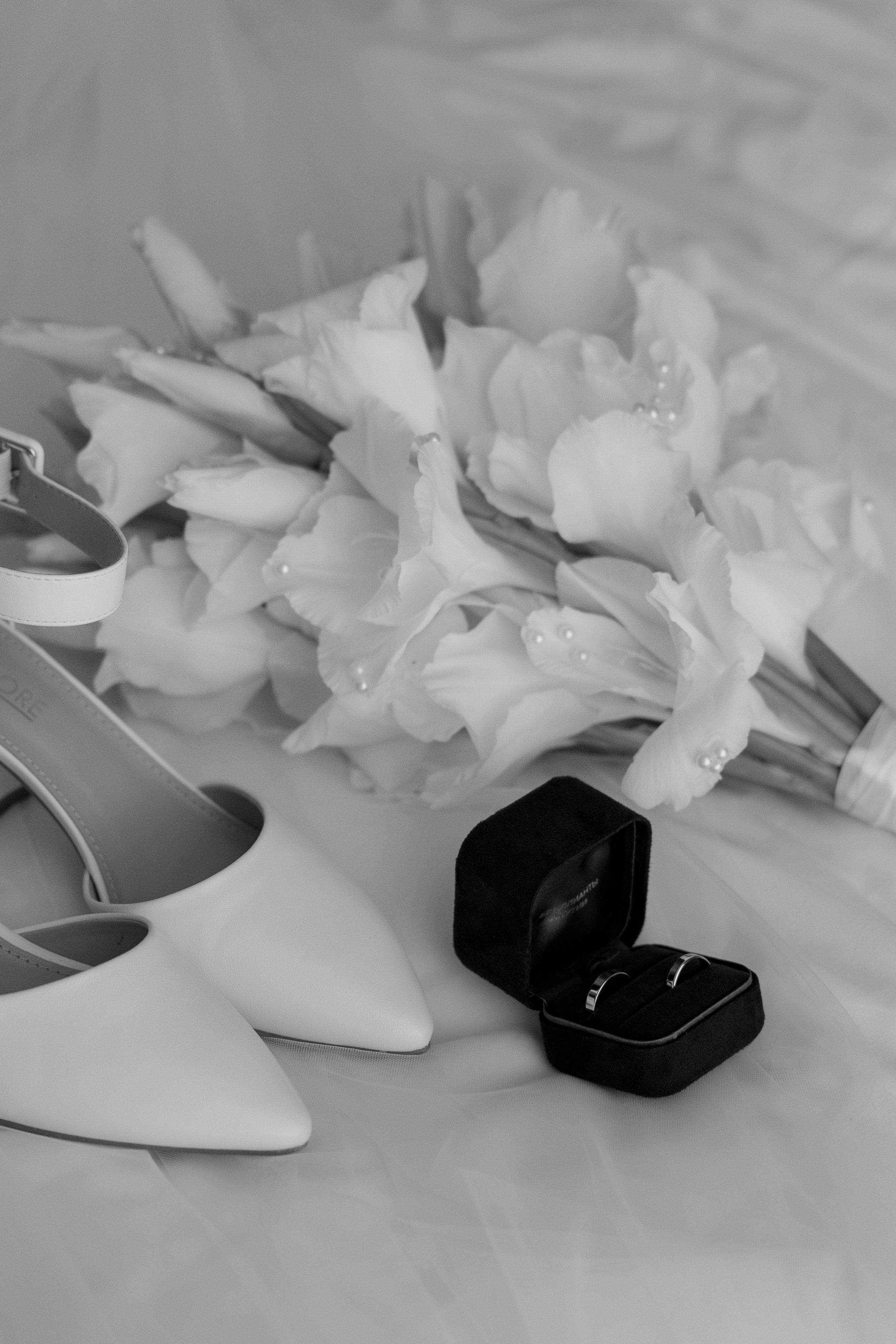 I&A. Фотограф Таганрог Хребет София