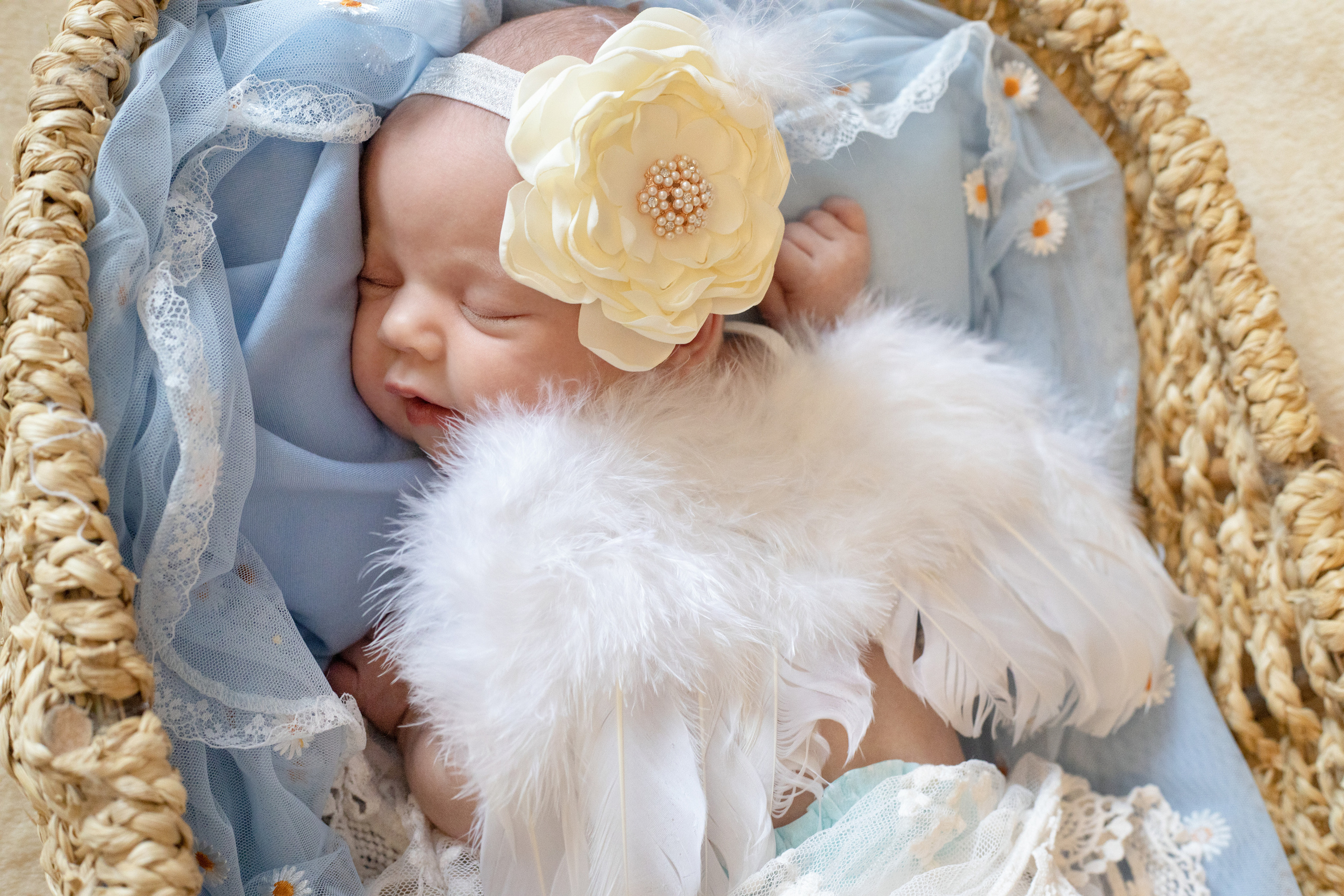 Алина — первая фотосессия. Фотограф новорожденных Химки, Красногорск, Мытищи и Москва Елена Третьяк