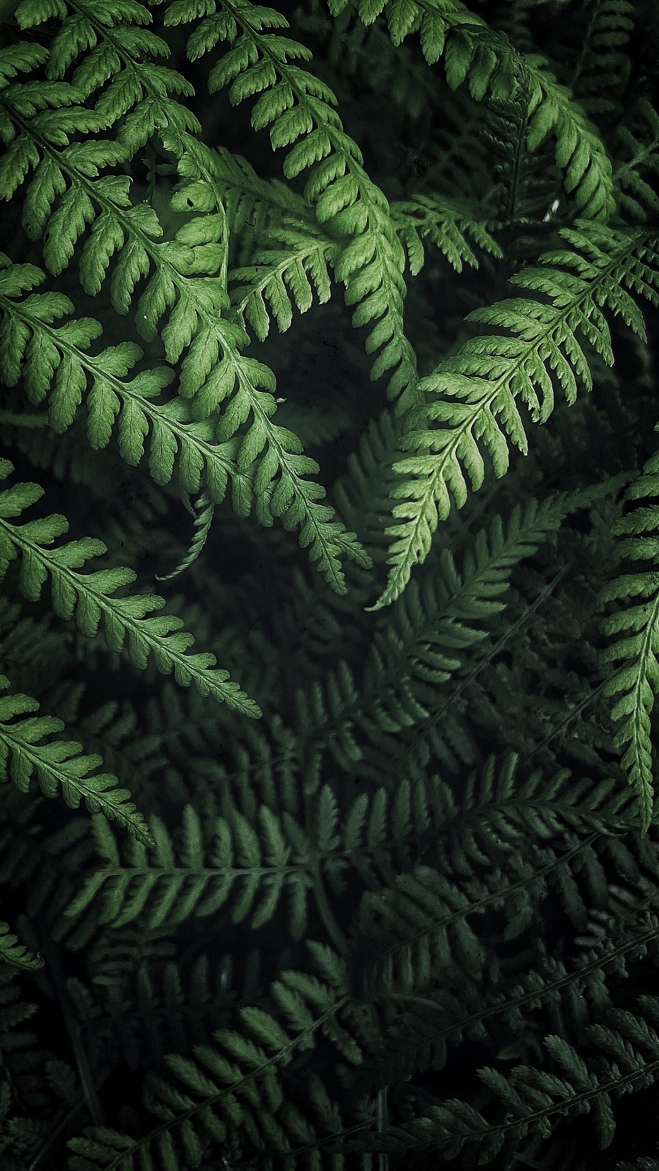 Природа. Фотограф Ольга Мурзина