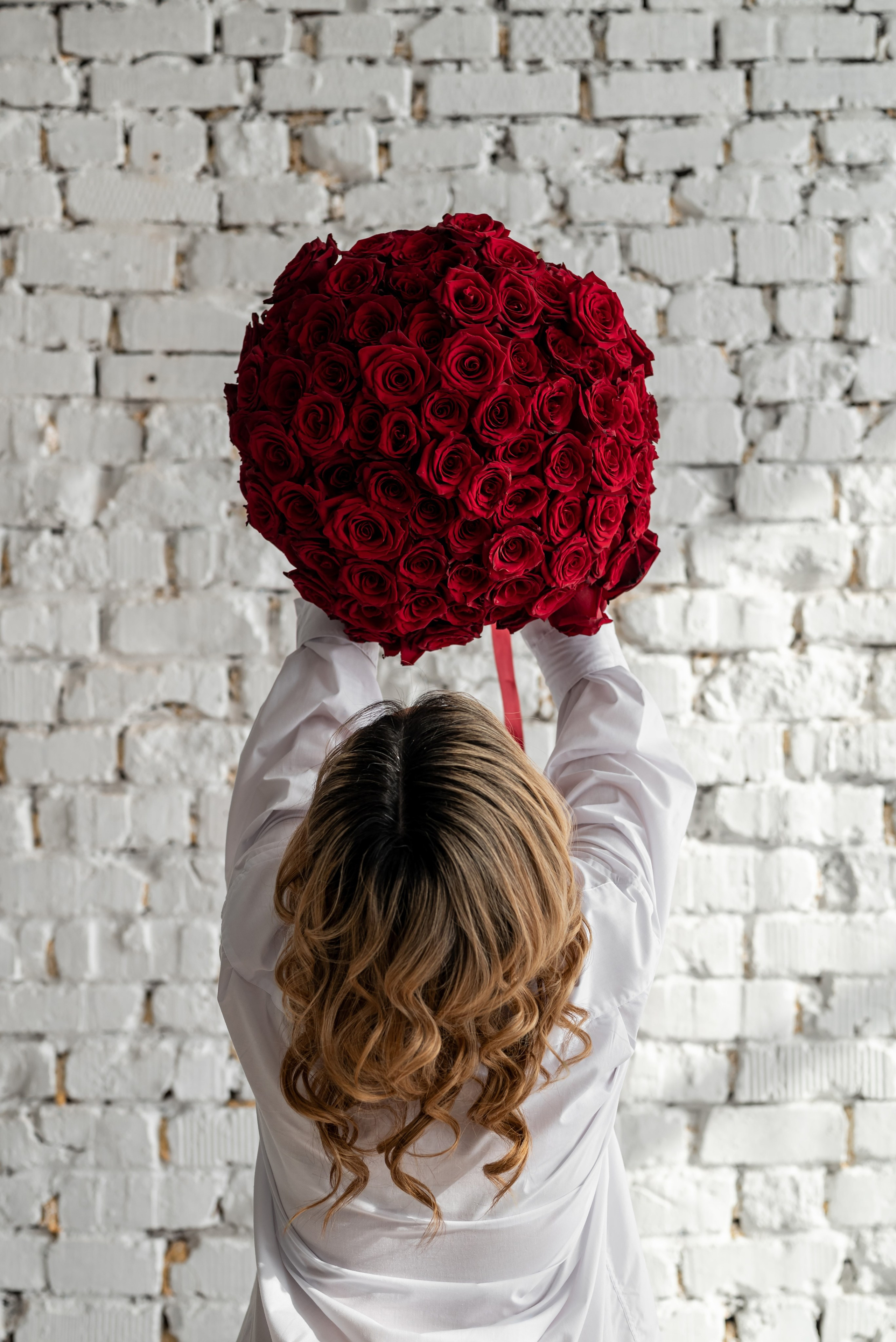 Фотопроект *101 красная роза* 2025 г. Фотограф в городе Салават