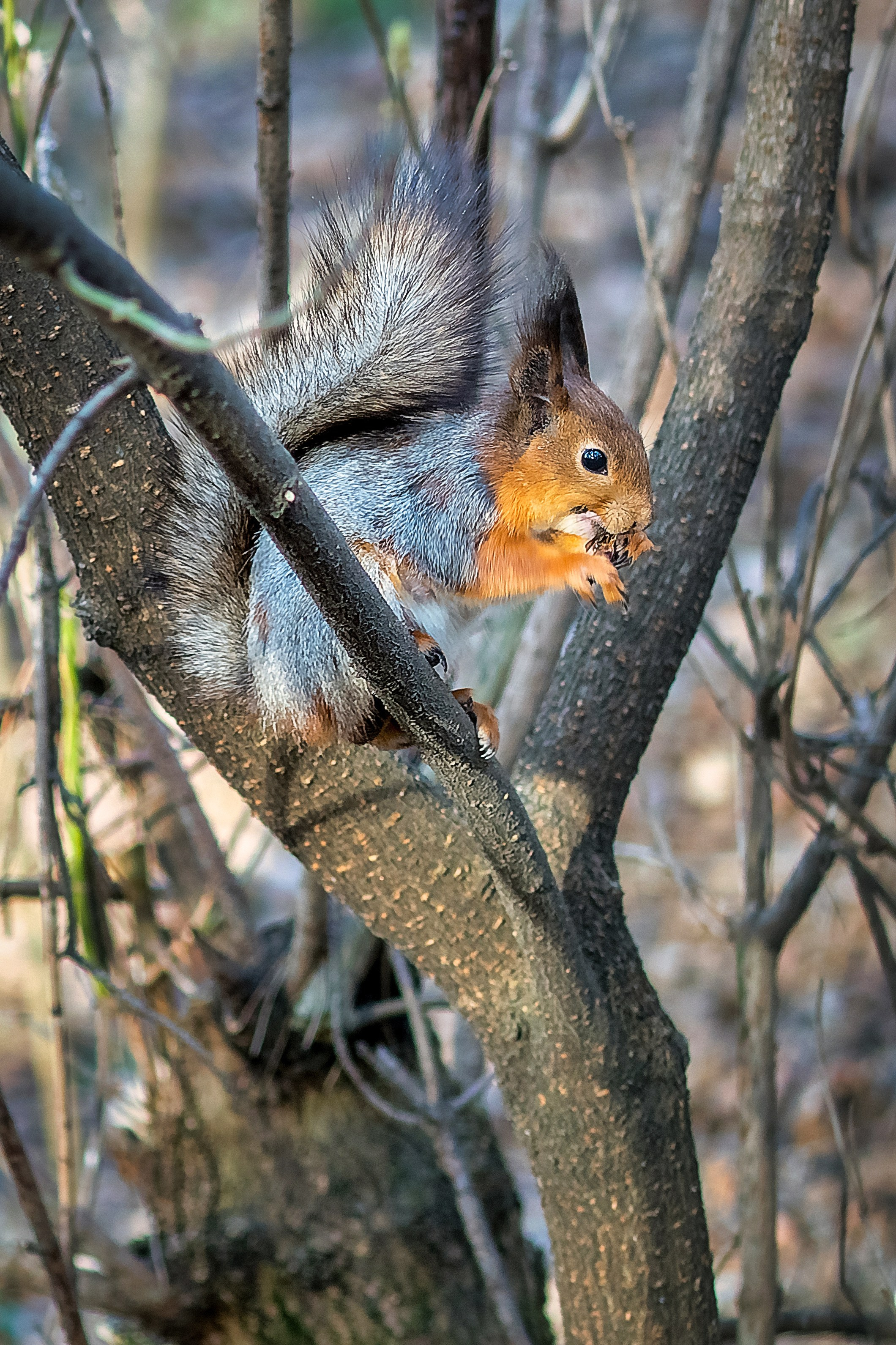 Наша мать — природа. Фотограф Владимир Артамонов