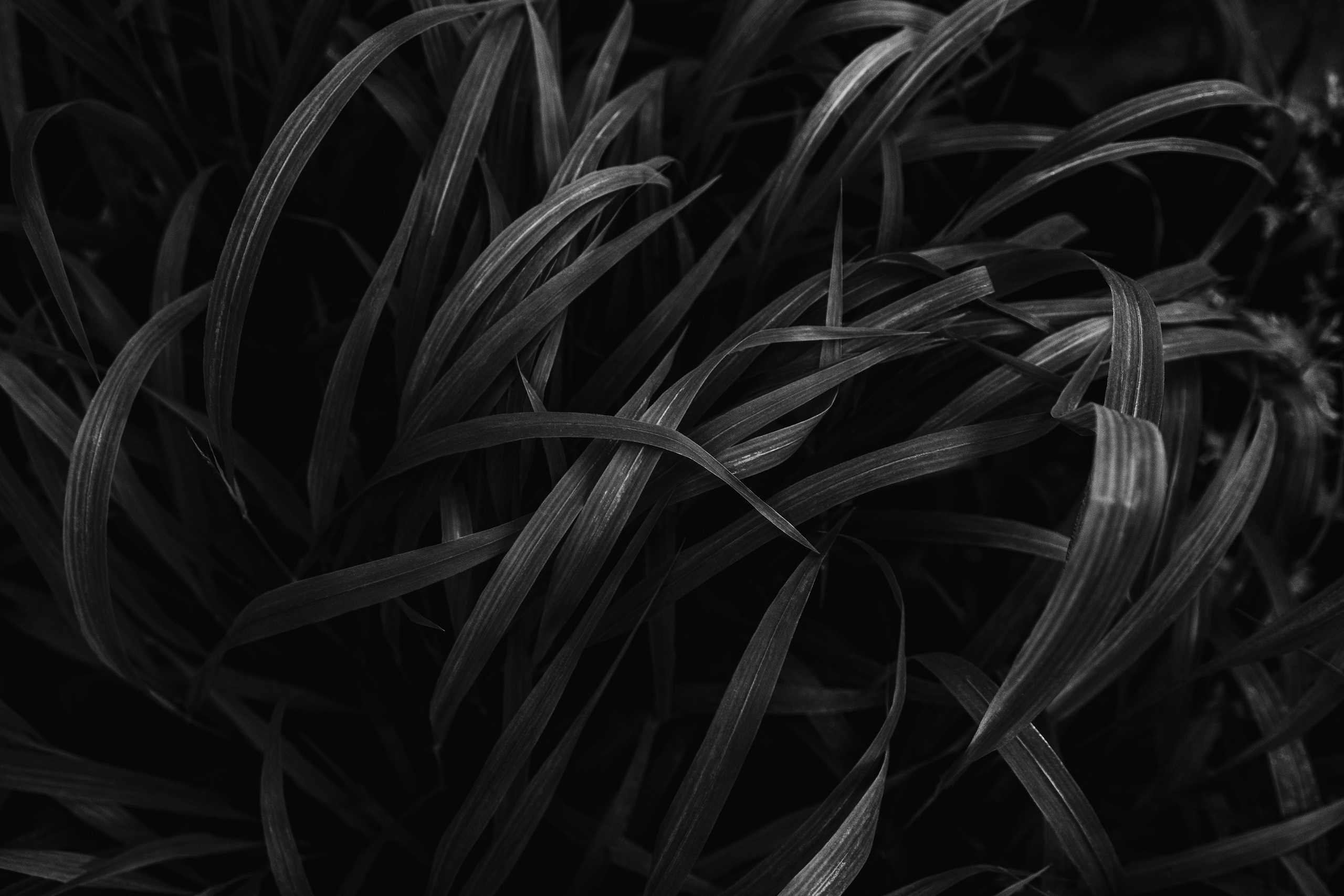 Жизнь. Фотограф Алматы | Весь мир — Никита Колодин