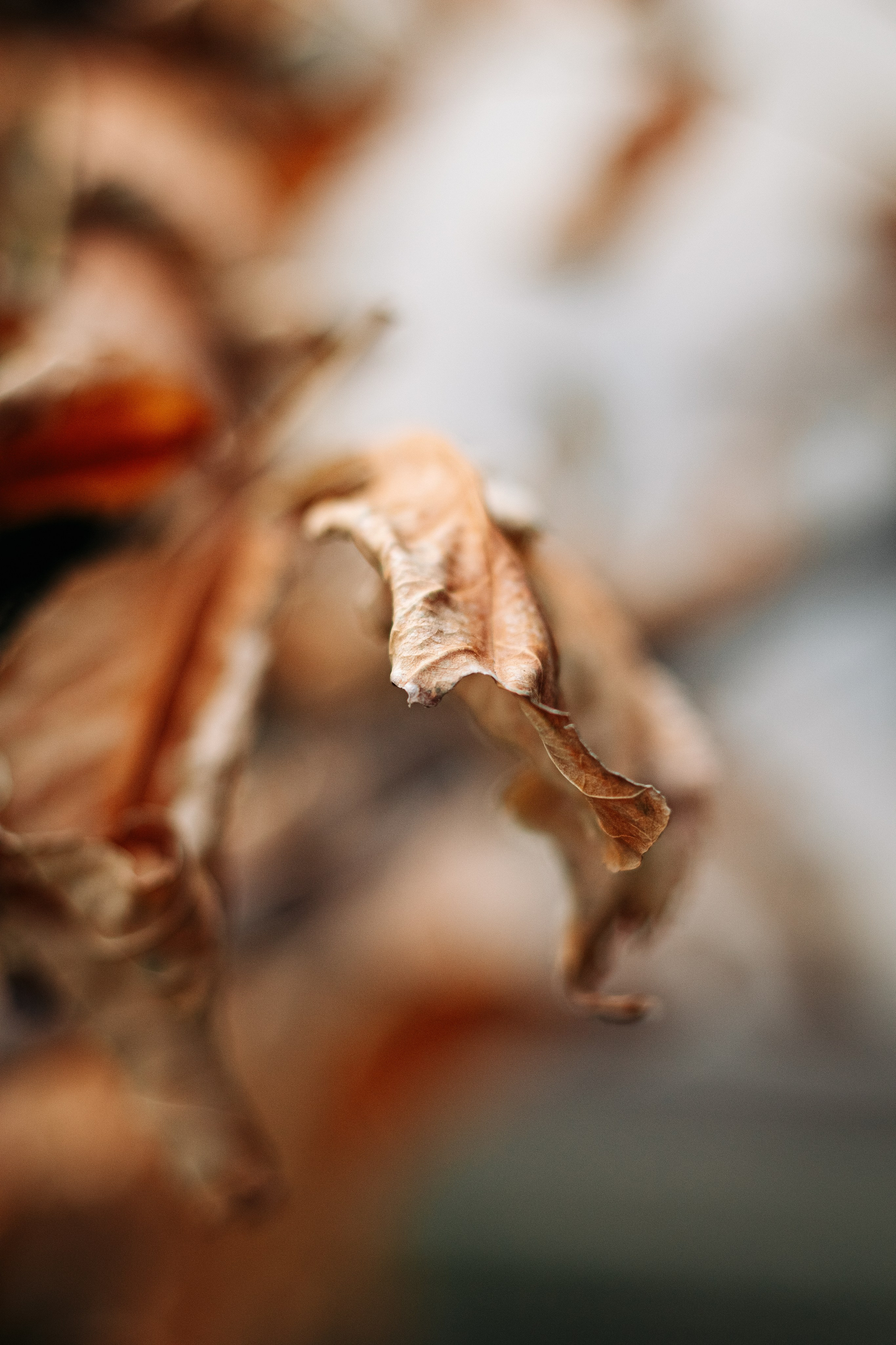 Жизнь. Фотограф Алматы | Весь мир — Никита Колодин