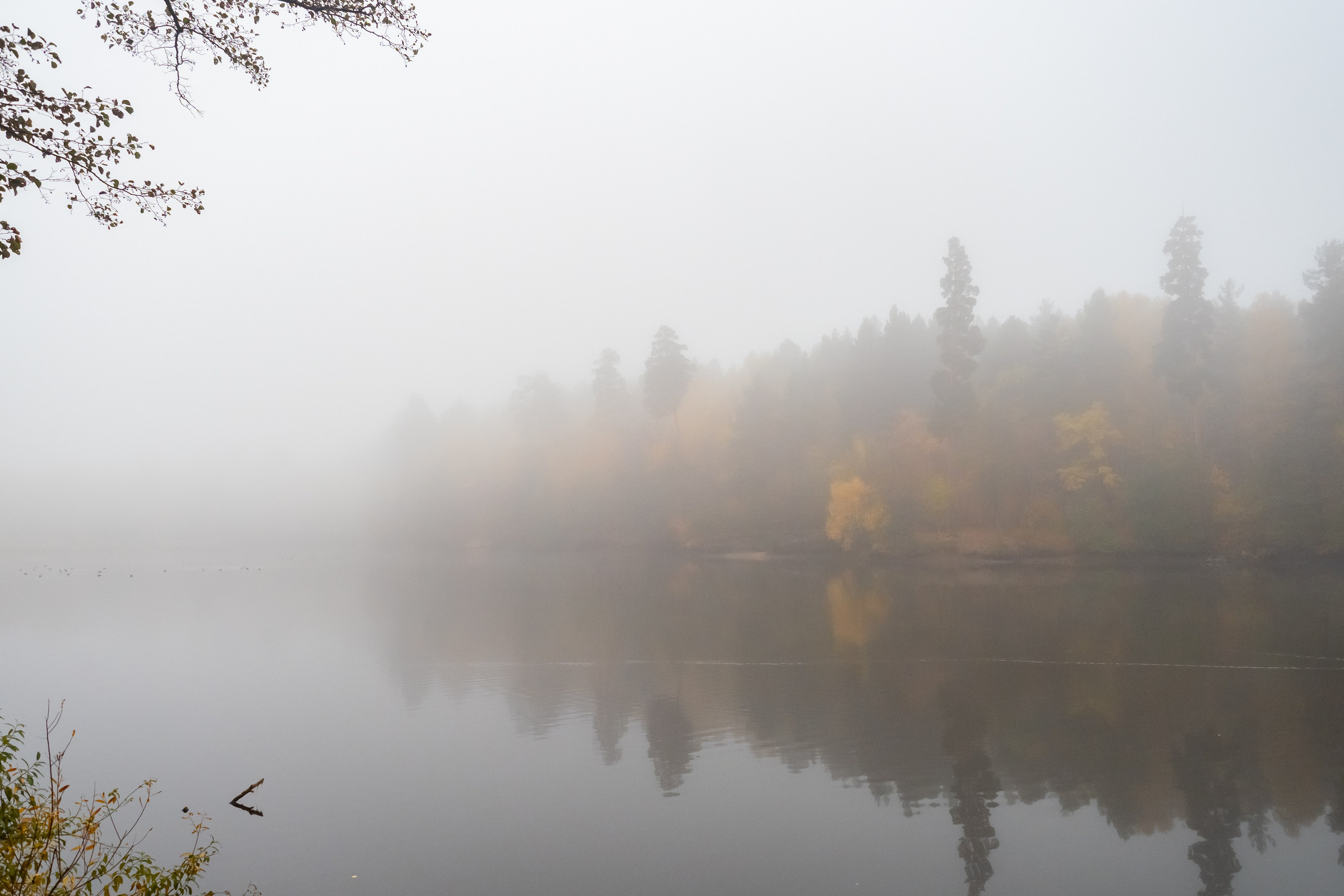 Красота Заречного. Репортажный, семейный и детский фотограф в Пензе и Заречном Арина Ермилова. Картины барельеф на заказ