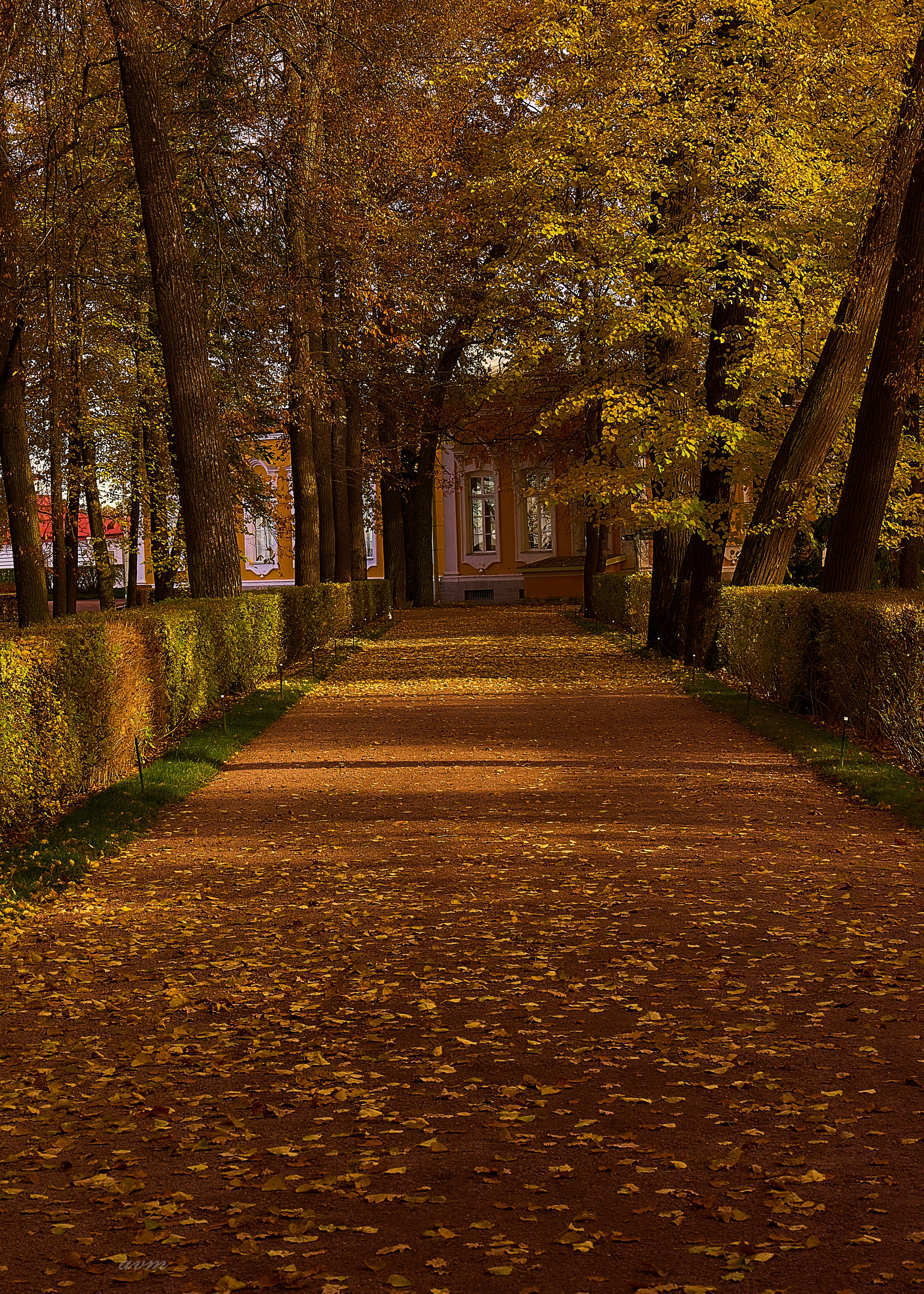Петергоф. Фотограф Михеев Андрей