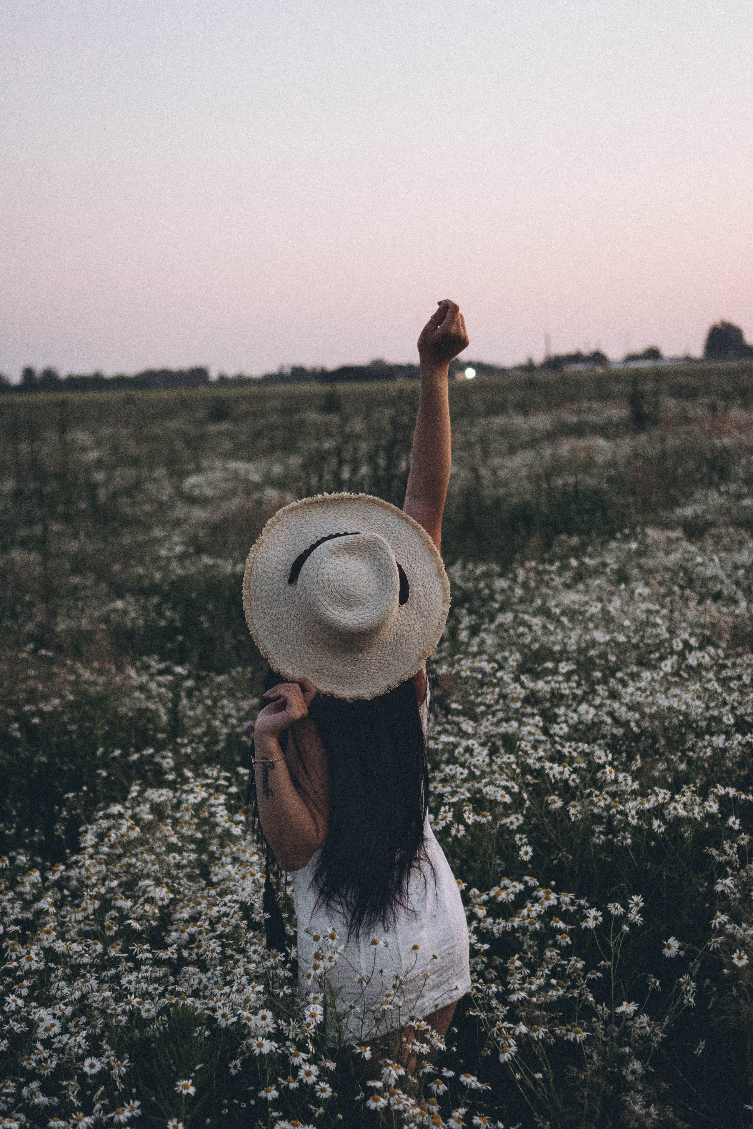 Ромашковое поле. Профессиональный фотограф, Санкт-Петербург — Виктория Богомолова