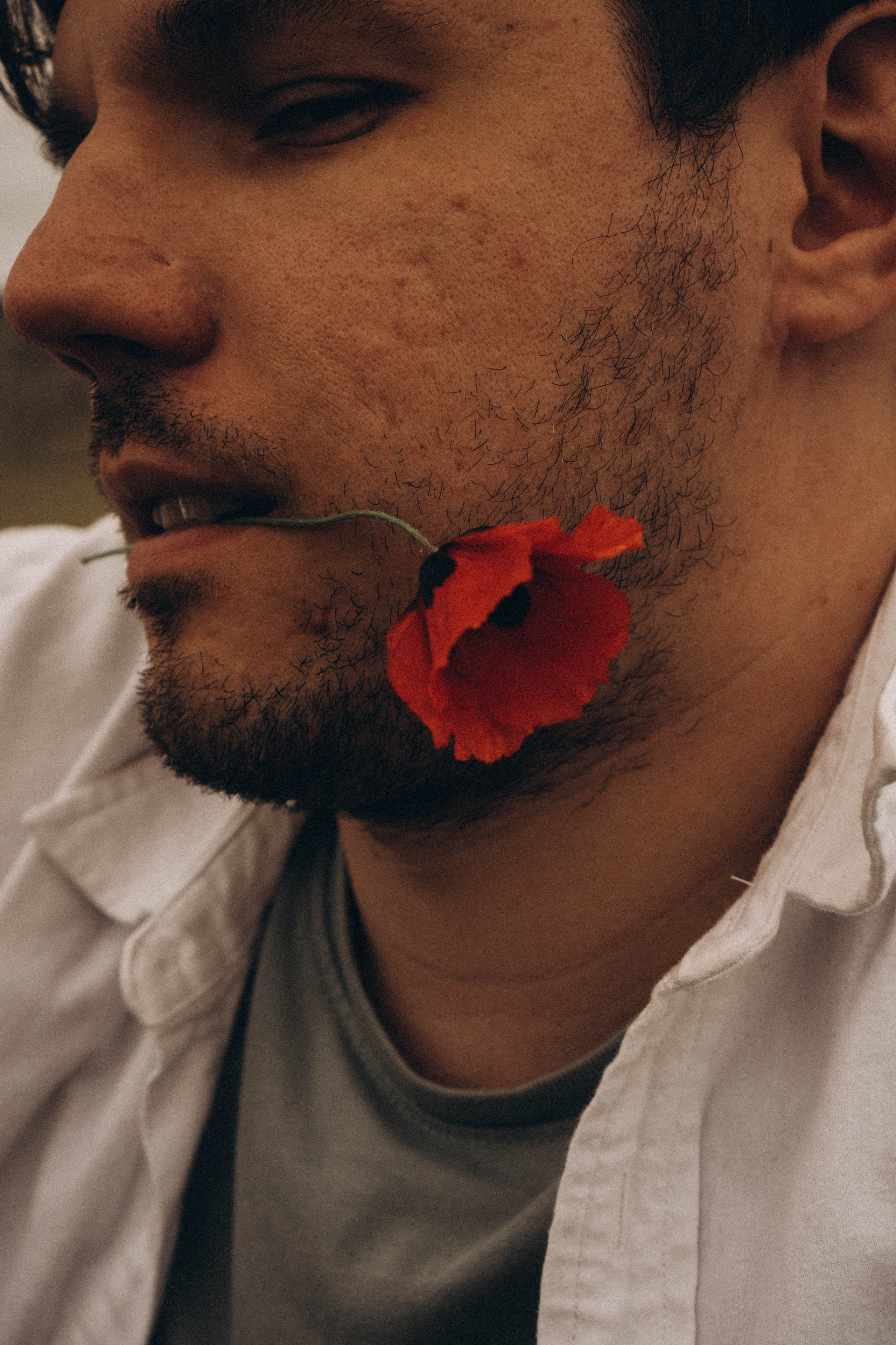 Маки. Профессиональный фотограф, Санкт-Петербург — Виктория Богомолова