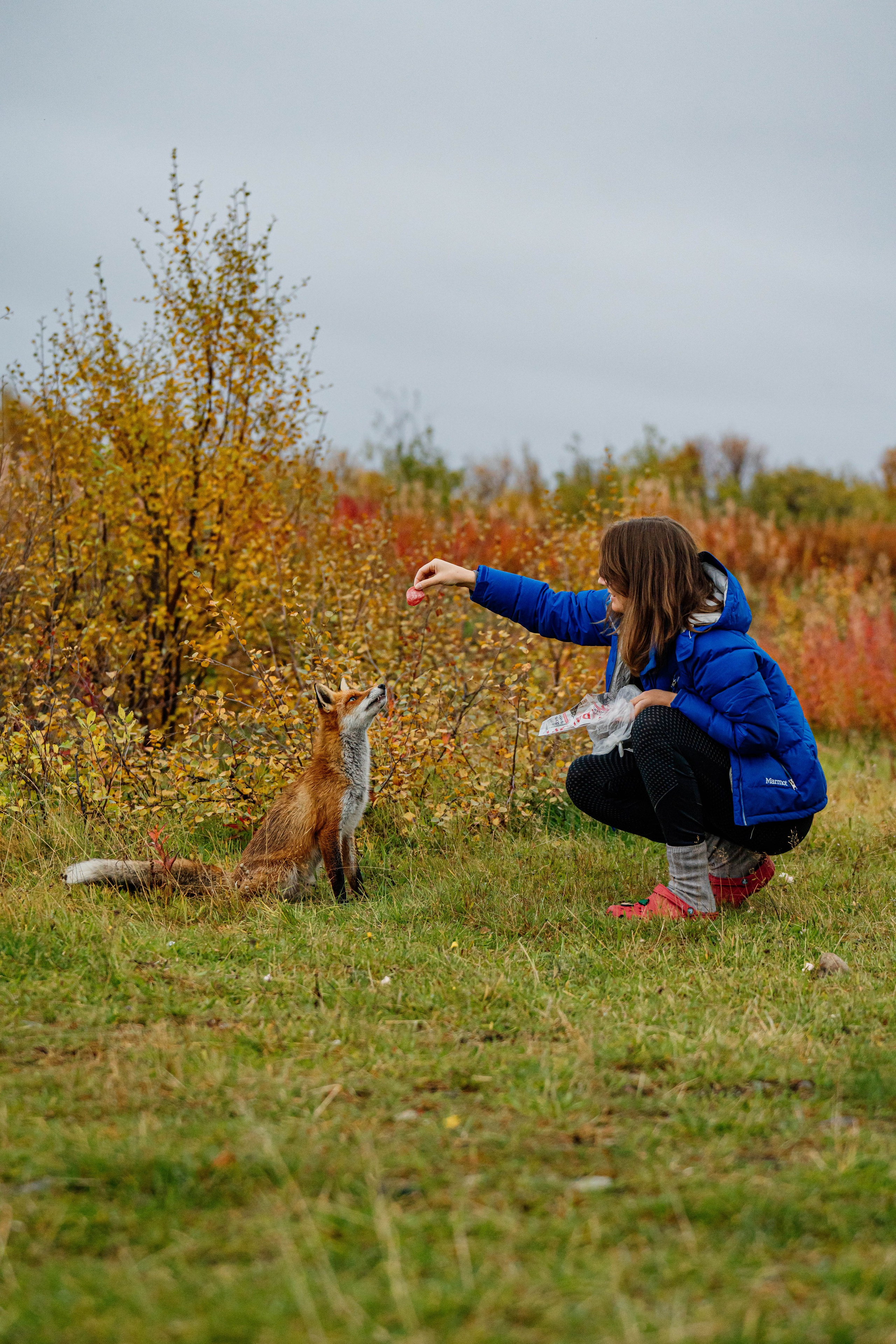 СЕВЕР. Event фотограф Степанова Александра