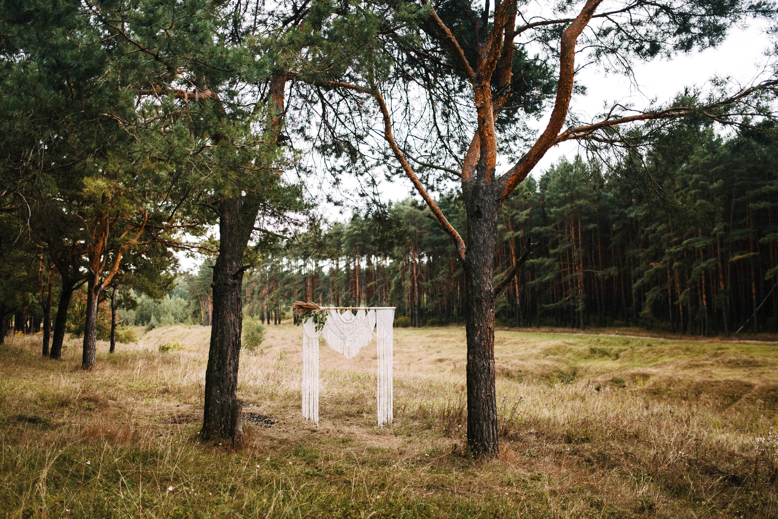 Яна и Миша. Свадебный и семейный фотограф Москва Екатерина Верижникова