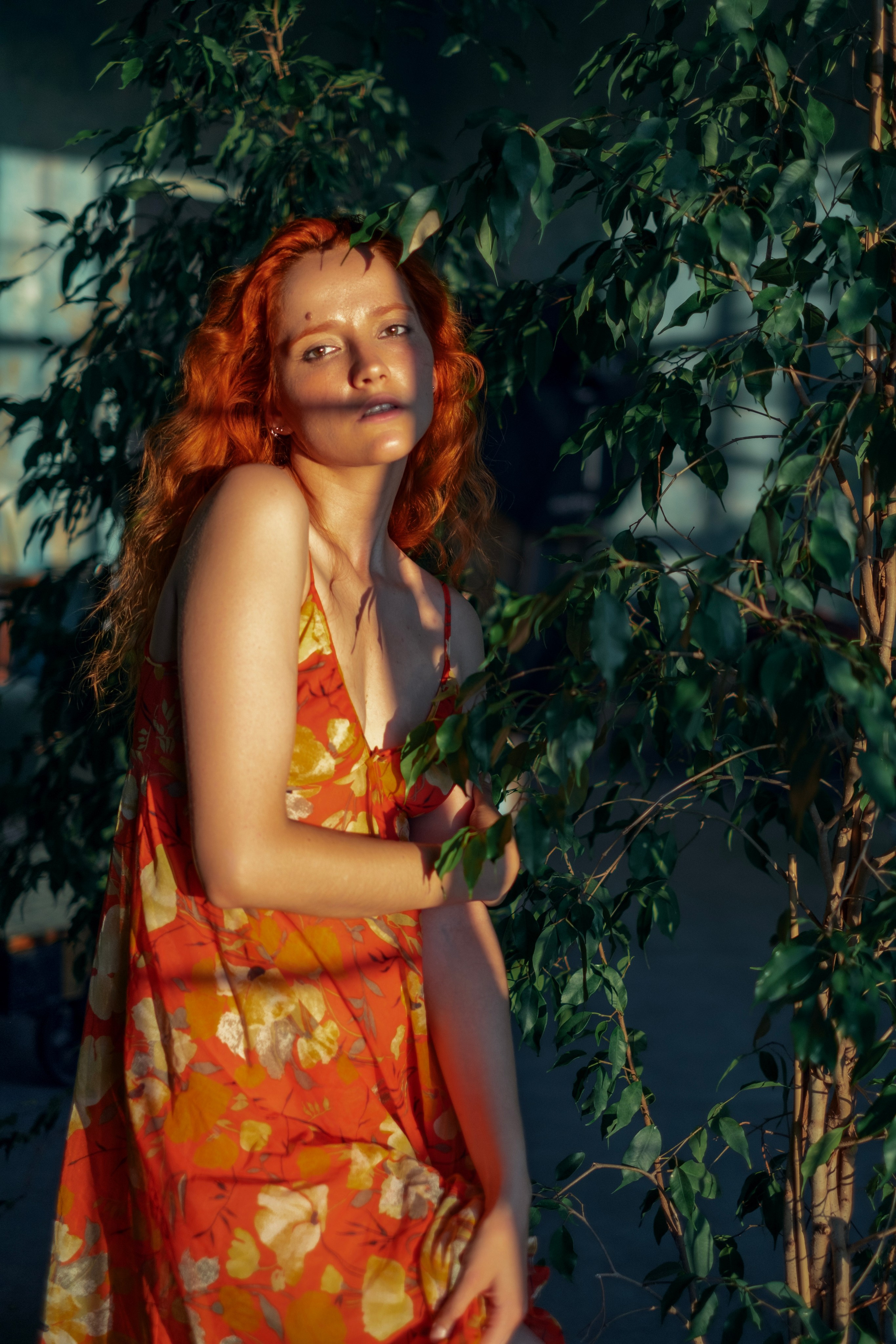 Garden. Andrey Bogdanov Photo