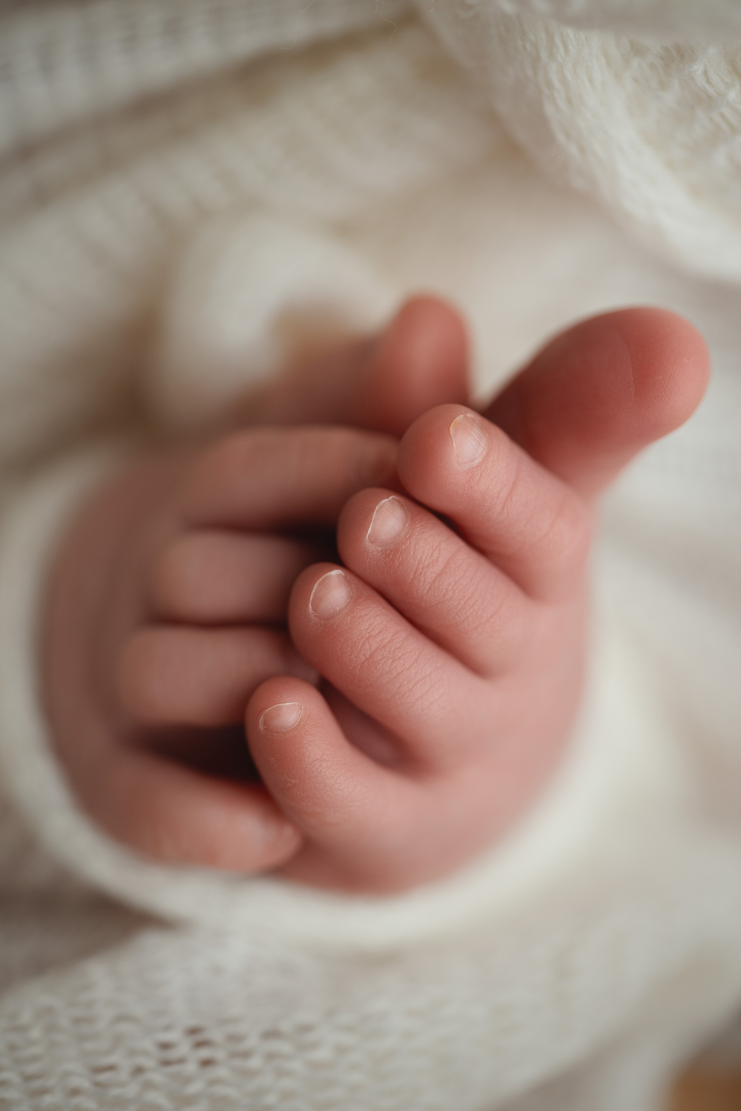 Фотограф новорожденных во Владивостоке Ромашко Виктория