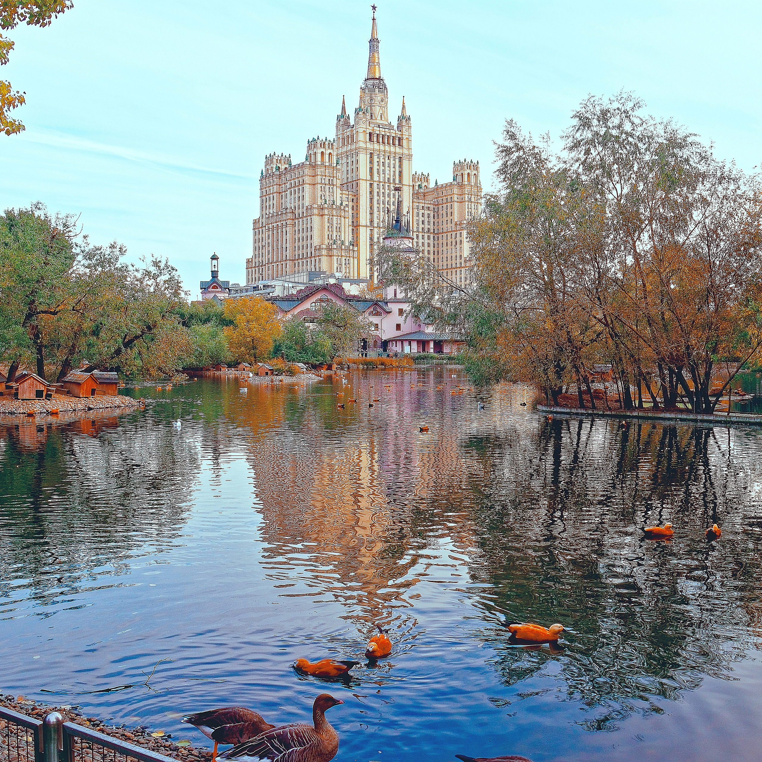 МОСКОВСКИЙ ЗООПАРК. Фотограф Владимир Роля