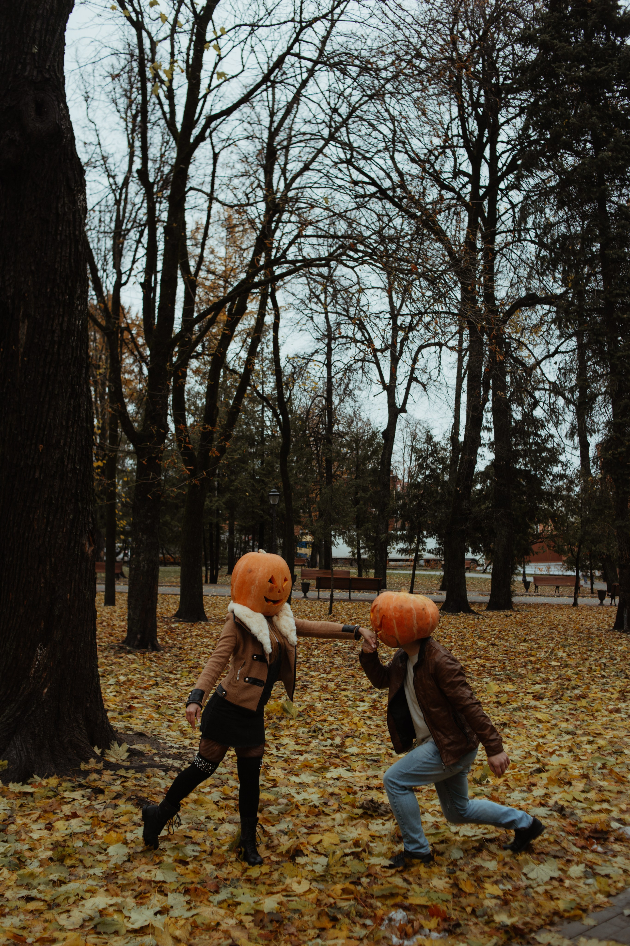 Тыковки. Фотограф Брянск