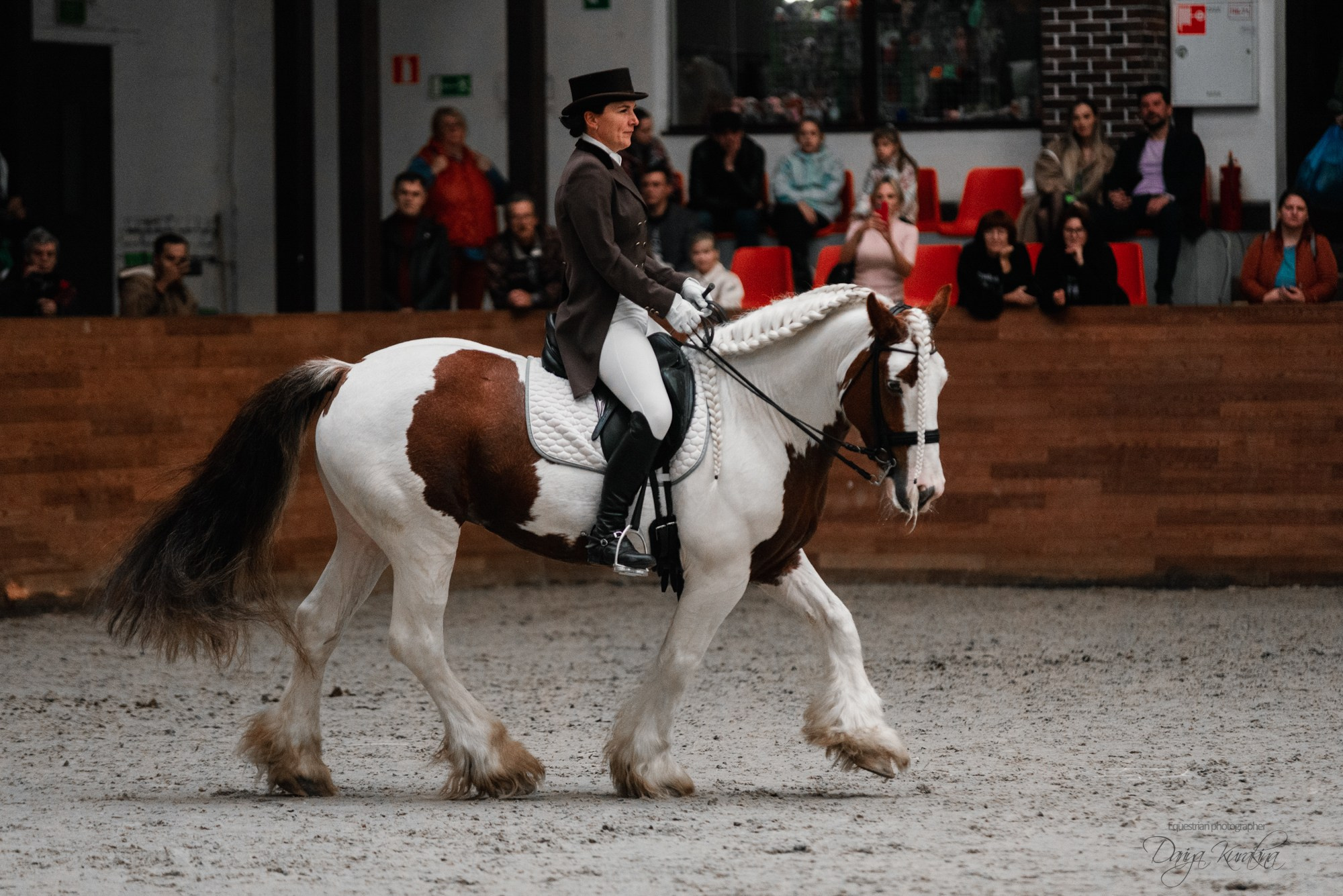 8-я международная выставка Конная Россия. Конный фотограф Куракина Дарья • Фотосессии с лошадьми