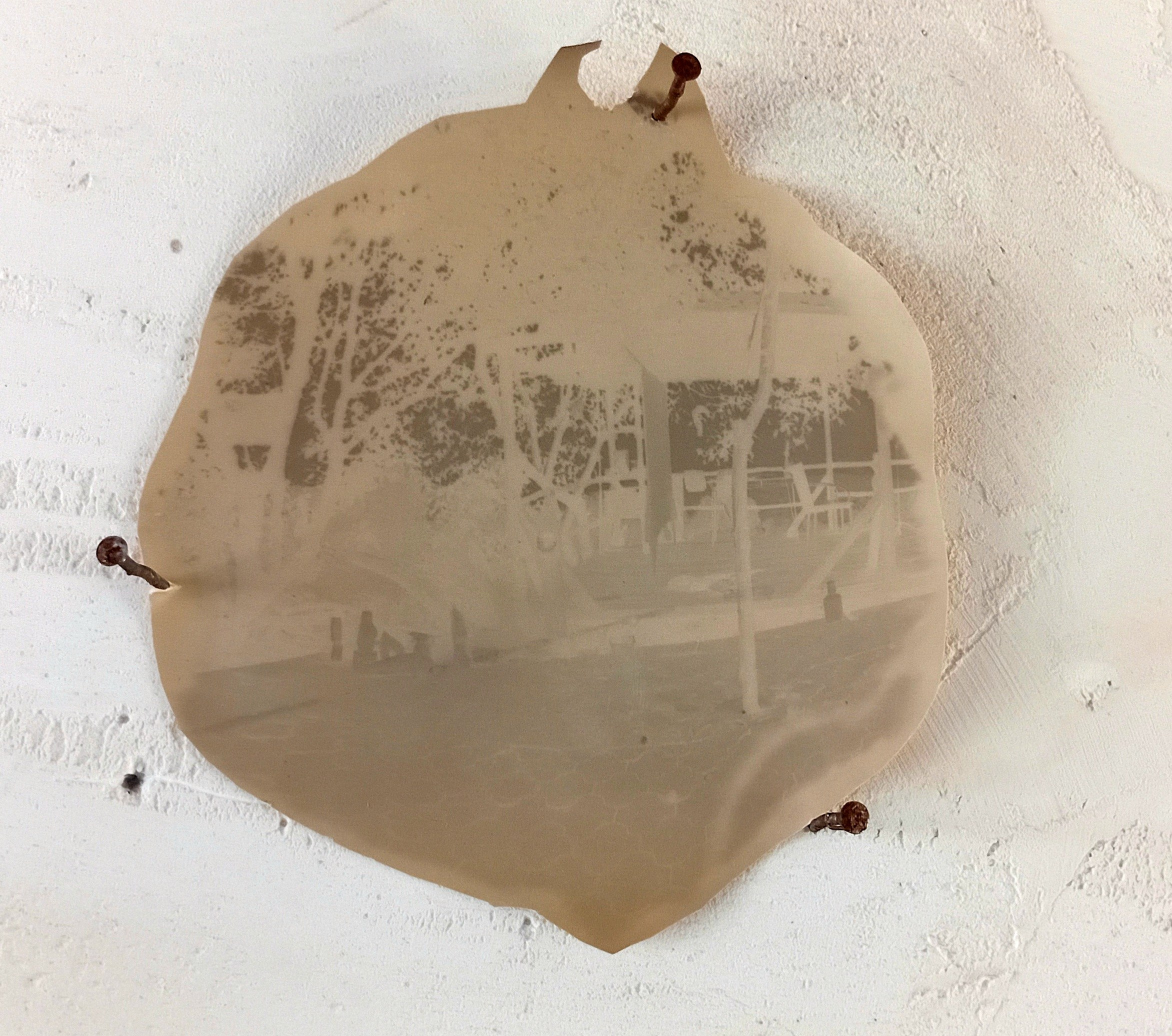 Фото-альтернатива. Данил Андреев, мультидисциплинарный художник, Санкт-Петербург