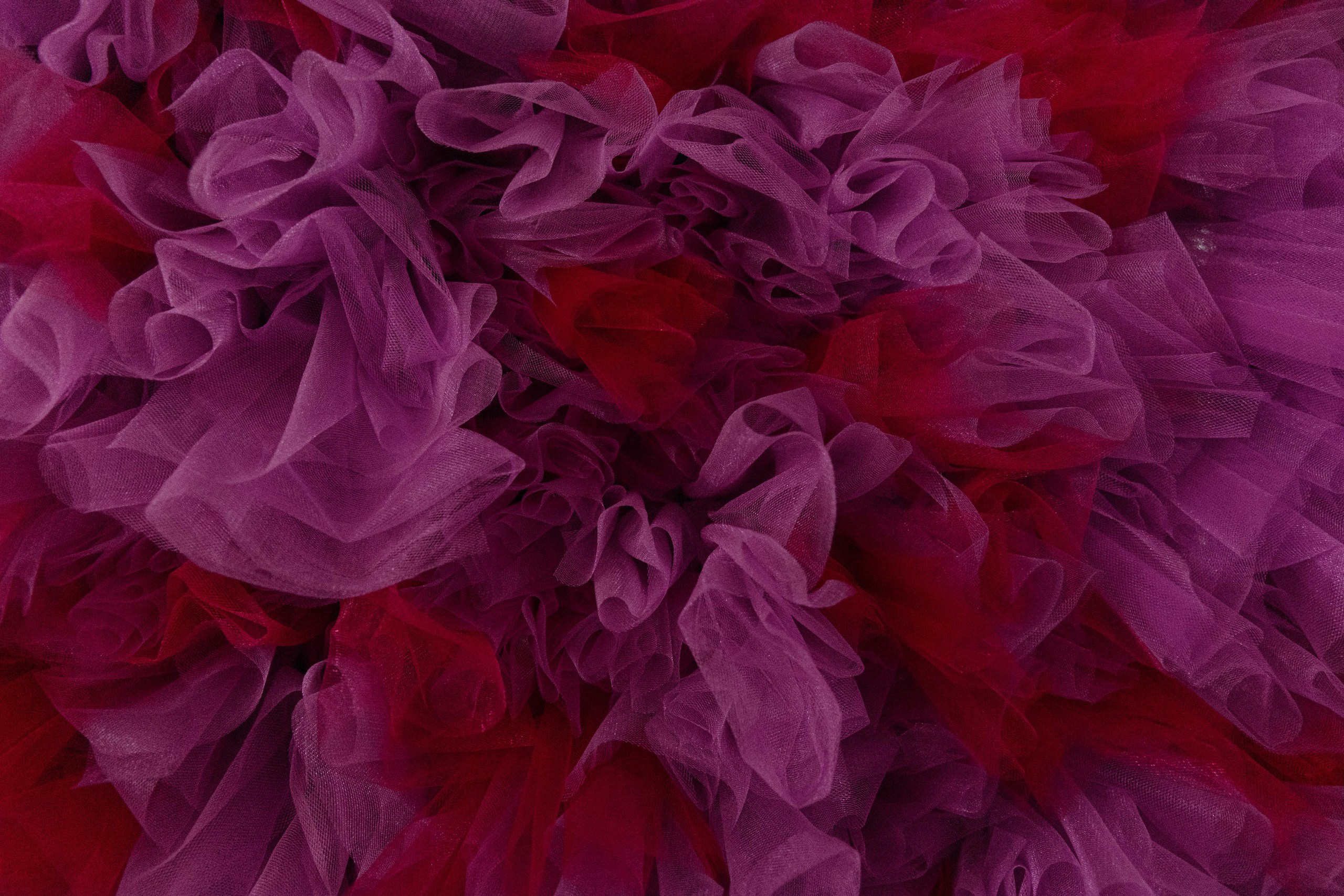 Мэл. Свадебный и репортажный фотограф Новороссийск Краснодар Сочи Крым Данила Данилов