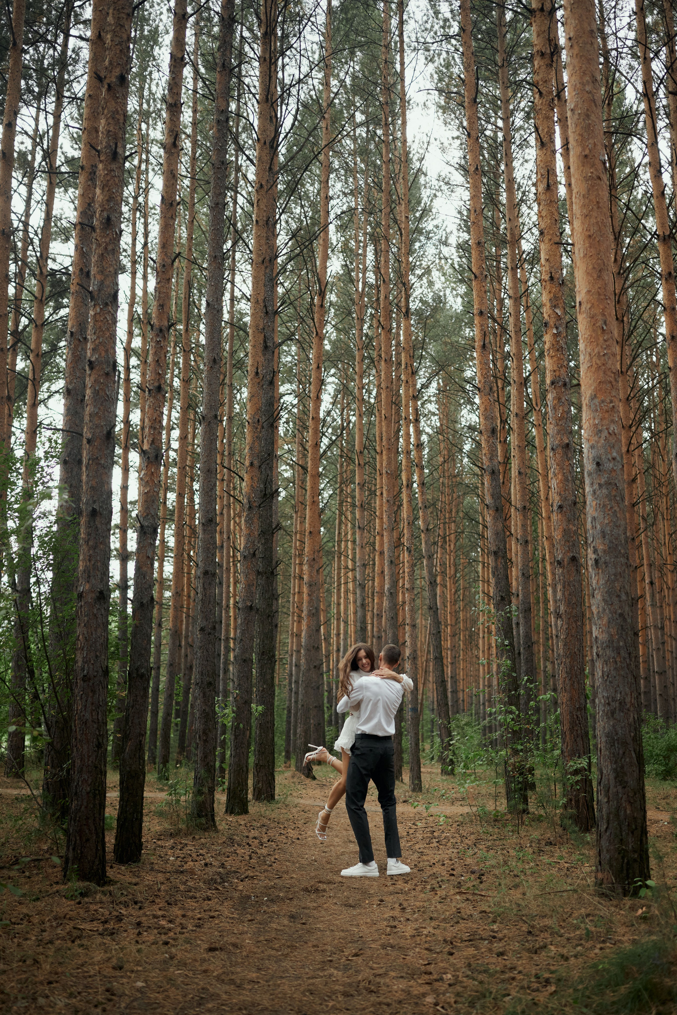 Сосновый лес. Свадебный фотограф Александр Браво