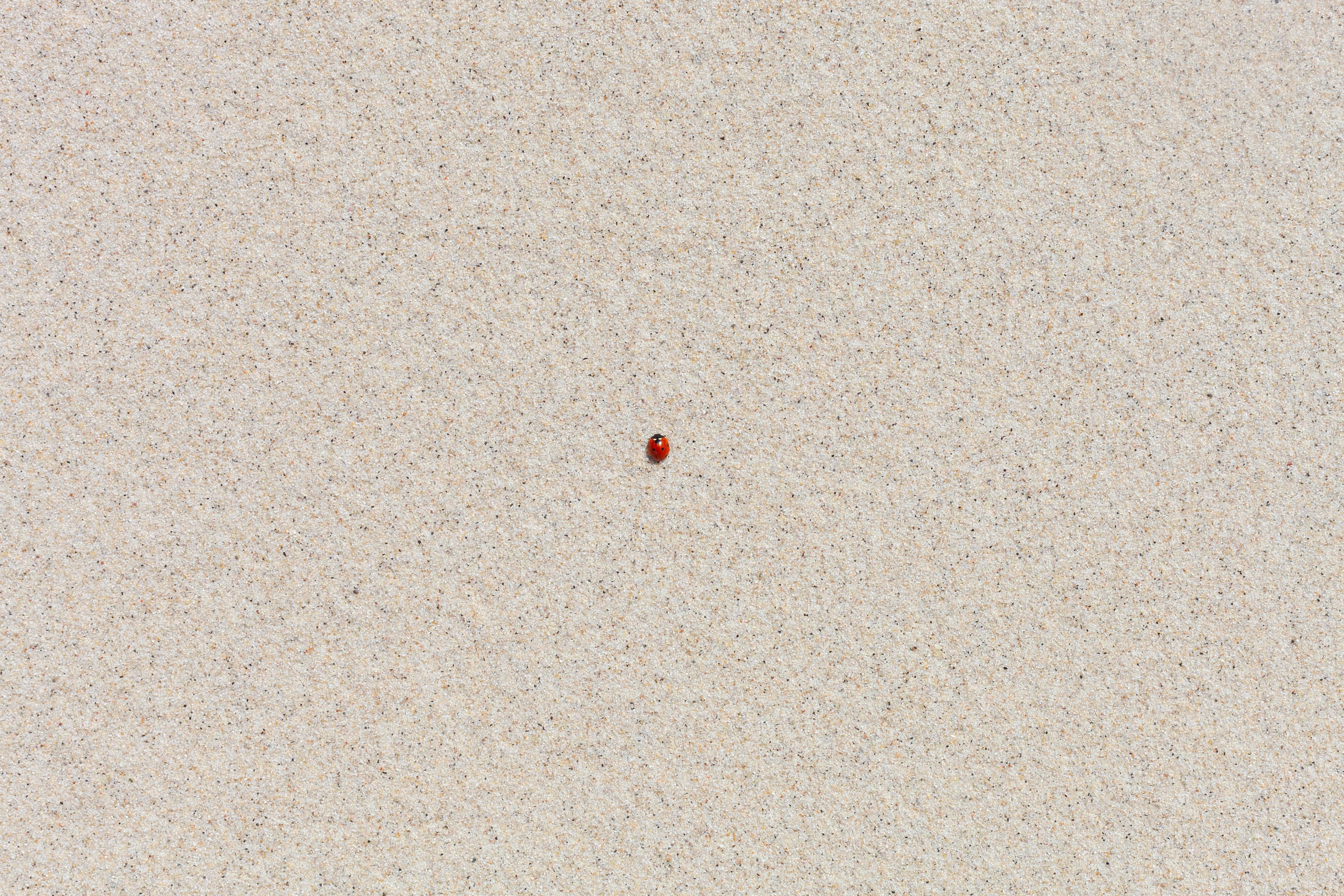 Формальная сторона. Фотографии Саши Любина