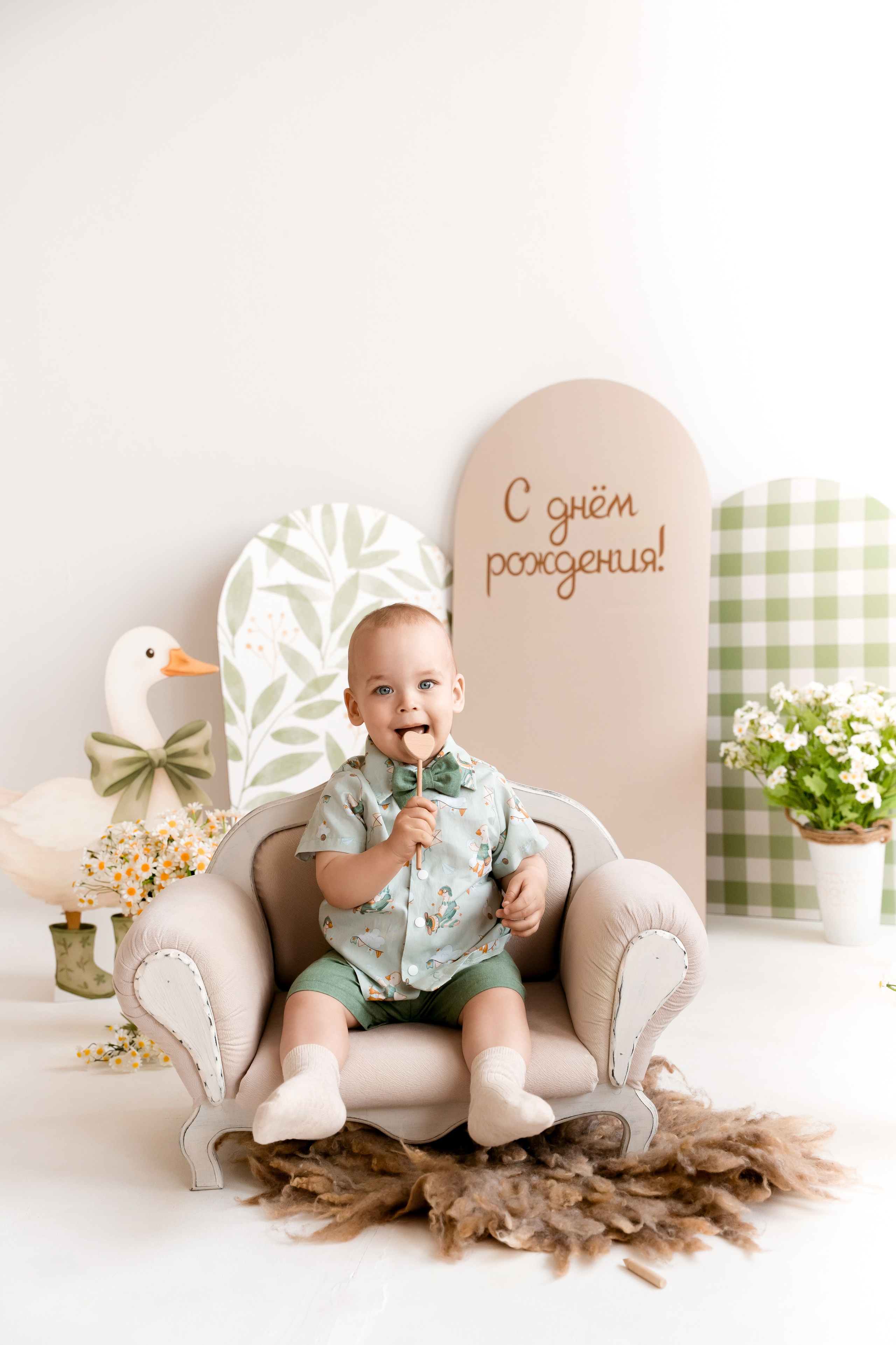 Гуси. Детский и семейный фотограф, Newborn фотограф новорожденных г. Челябинск