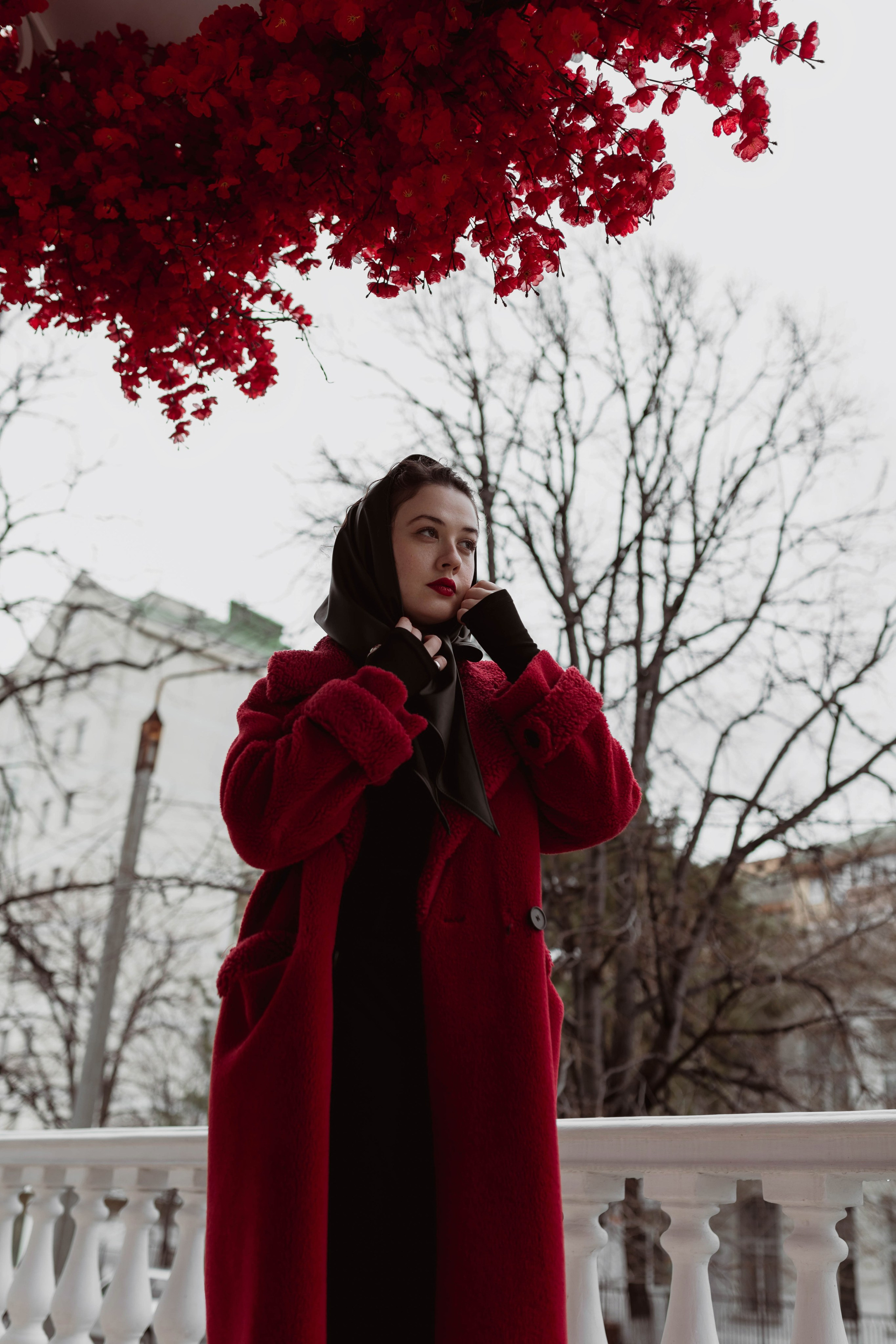 Алиса. Фотограф Трифон Мира