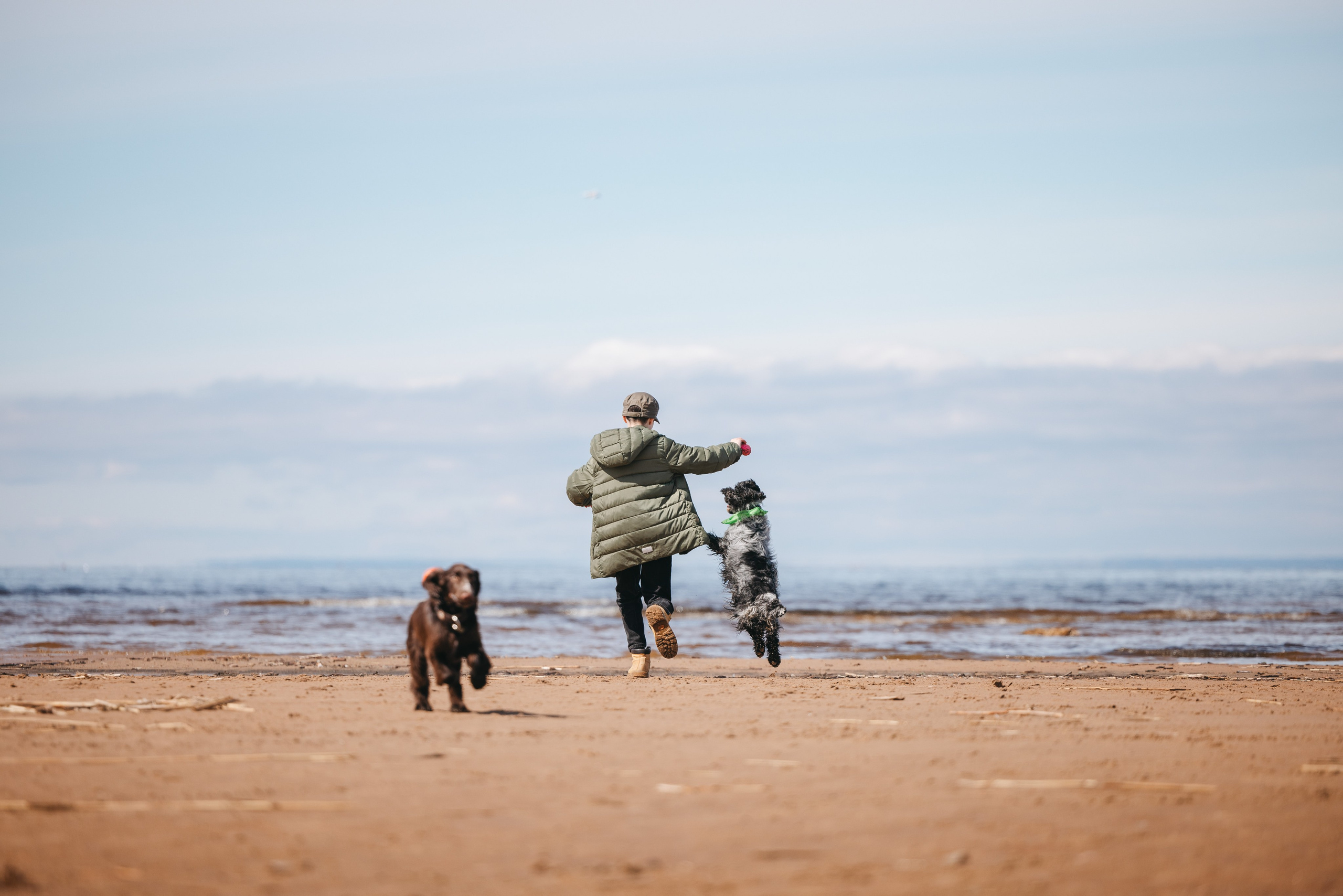 Спанимания. Фотограф анималист Осипчикова Мария
