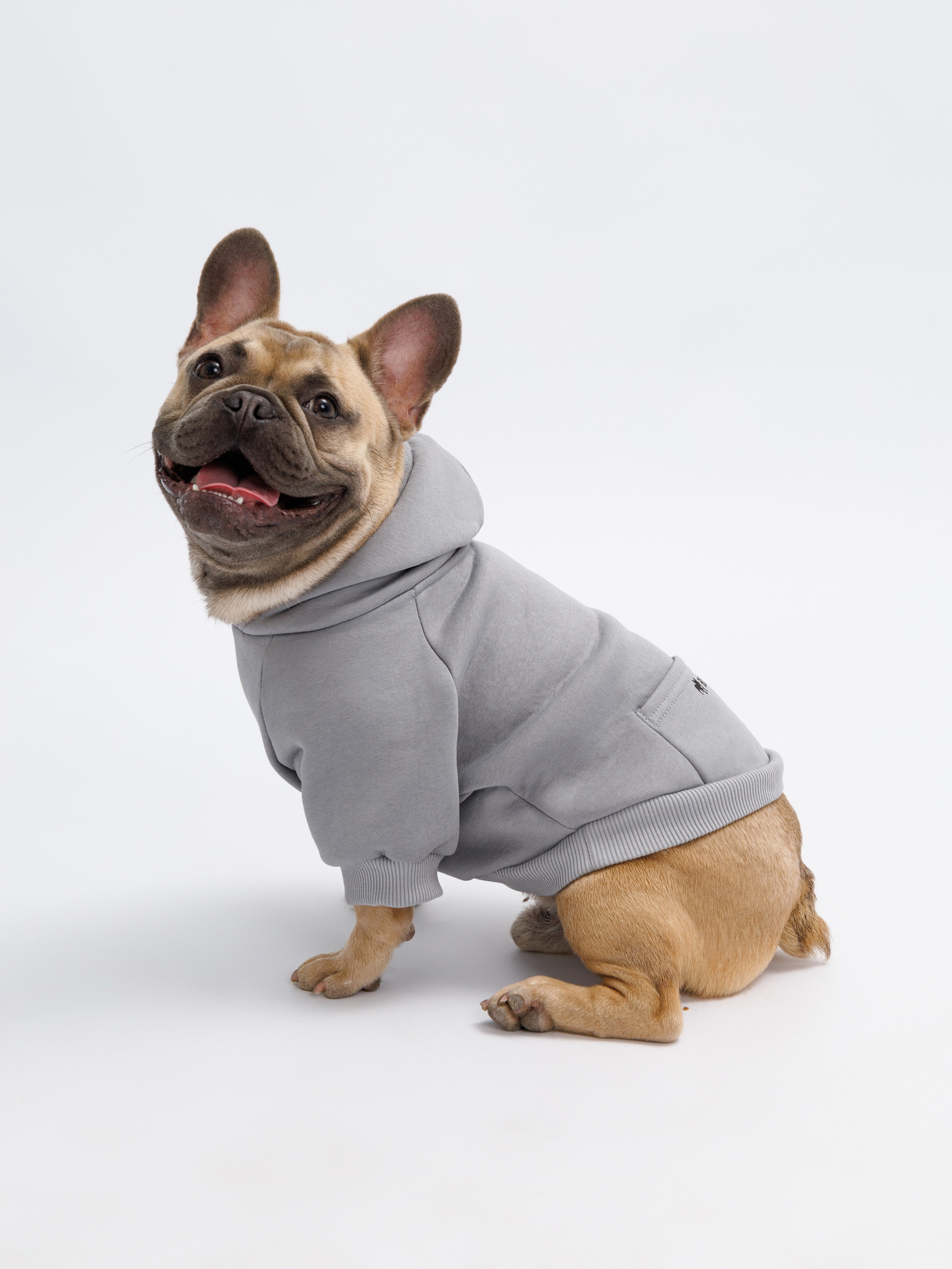 Съемка с животными. Главная