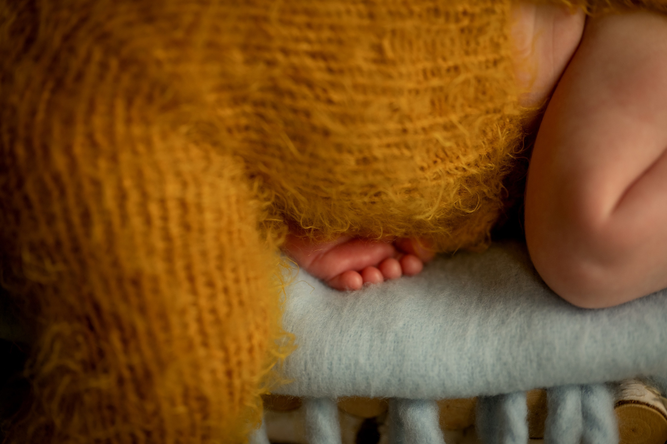 #фотосессия новорожденного. Фотограф новорождённых, семейный, школьный в городе Калуге Евгения