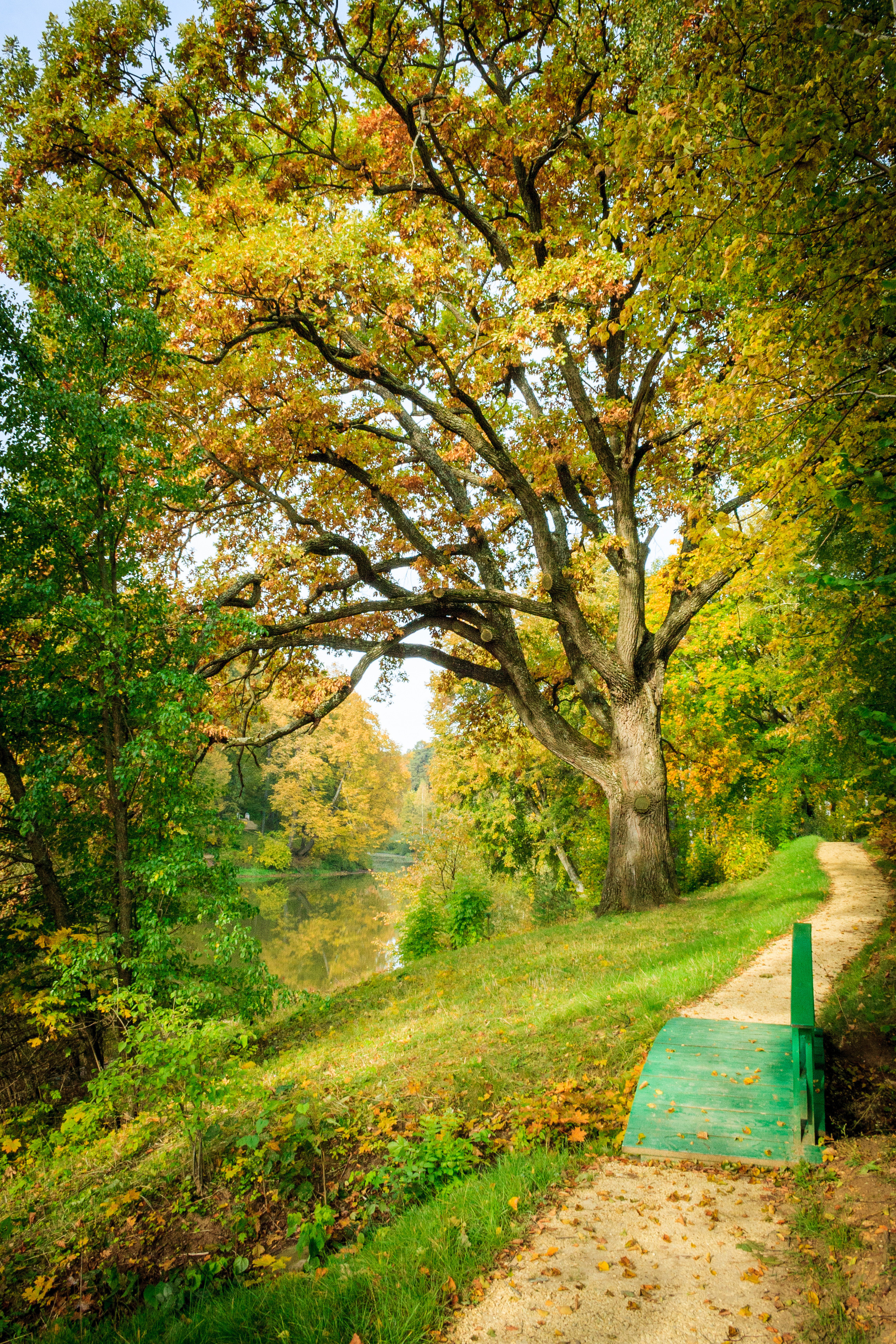 Пейзаж — Спасское-Лутовиново. Фотограф Сергей Старых. Мценск