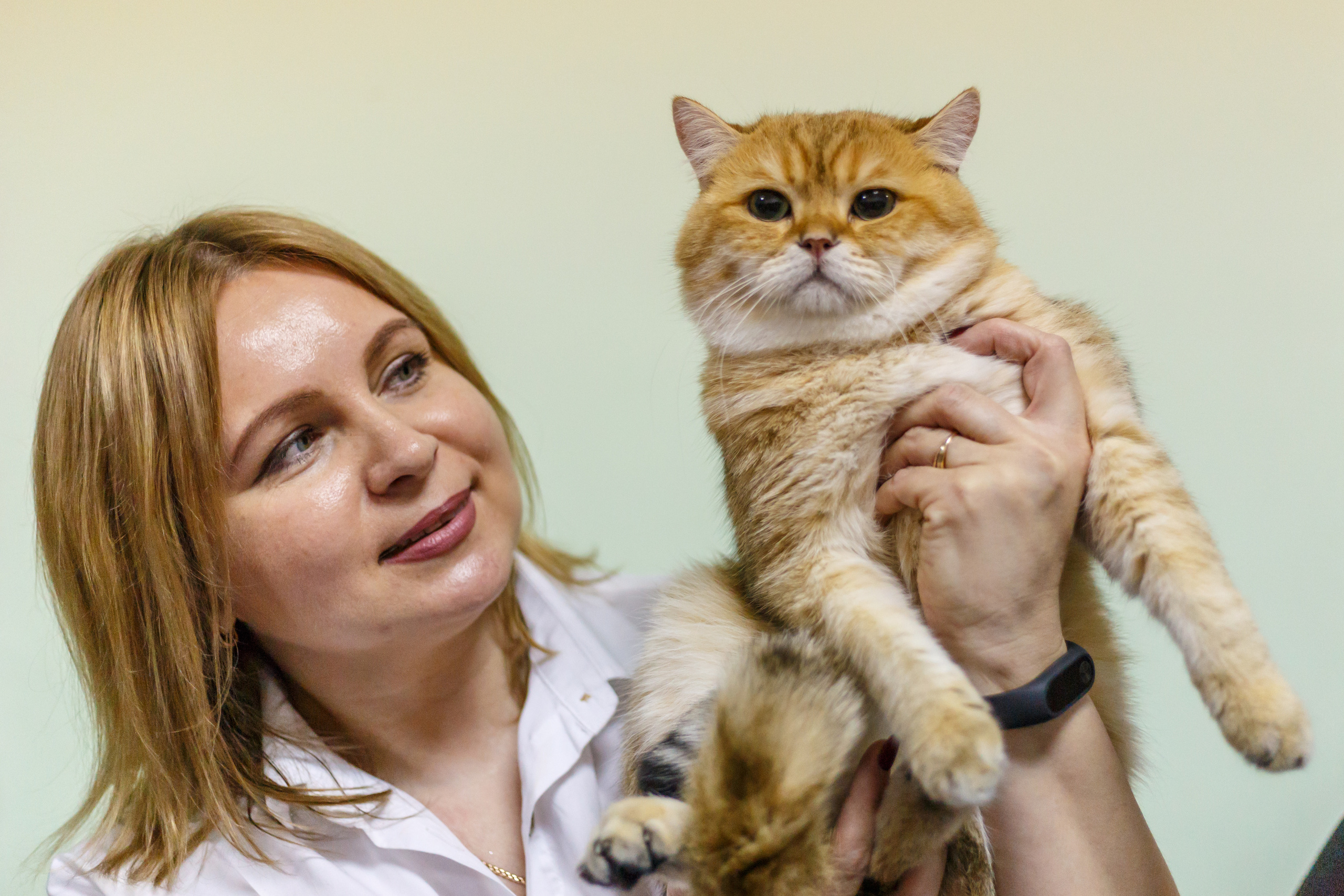 Кошки. Фотограф Сергей Старых. Мценск