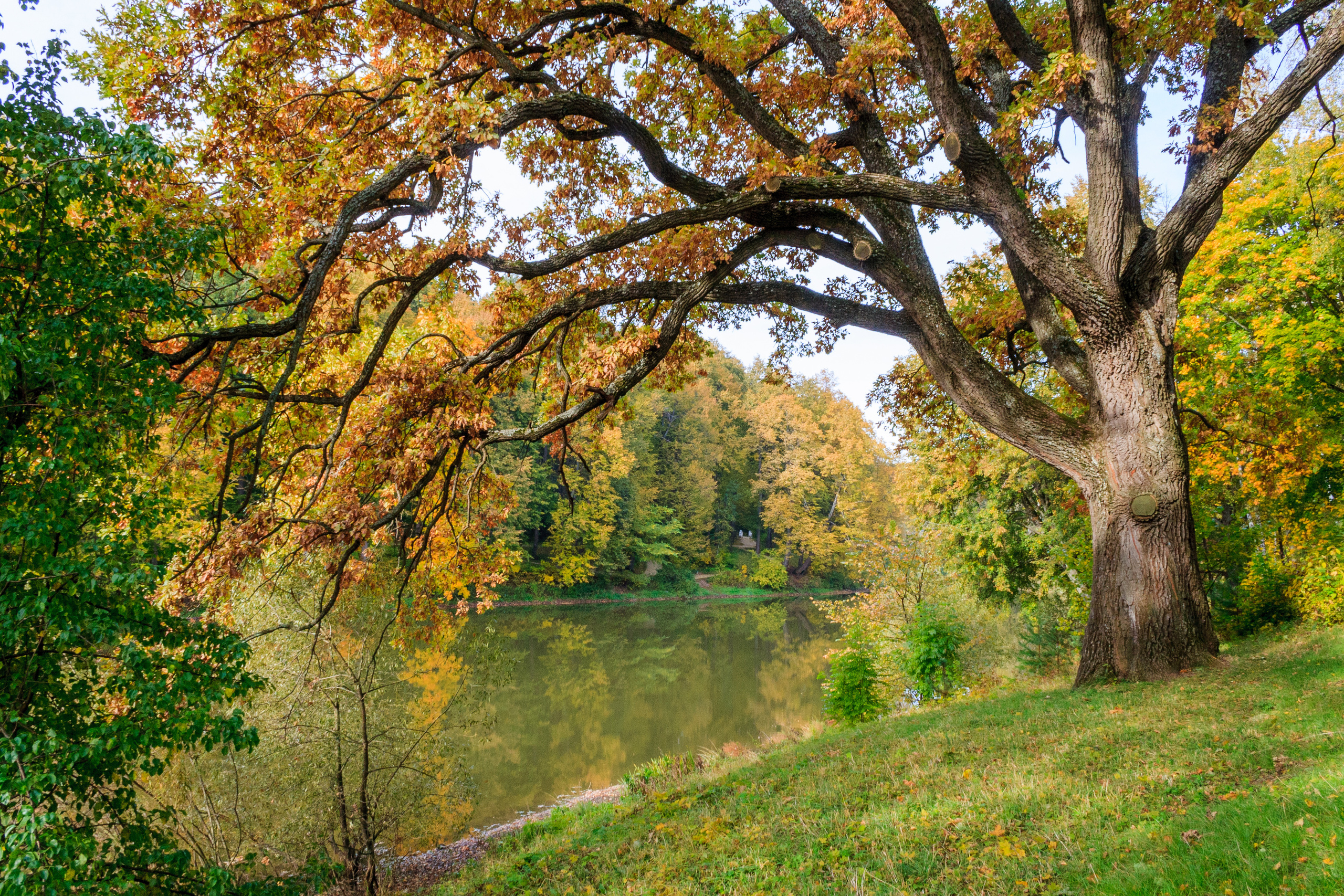 Пейзаж — Спасское-Лутовиново. Фотограф Сергей Старых. Мценск